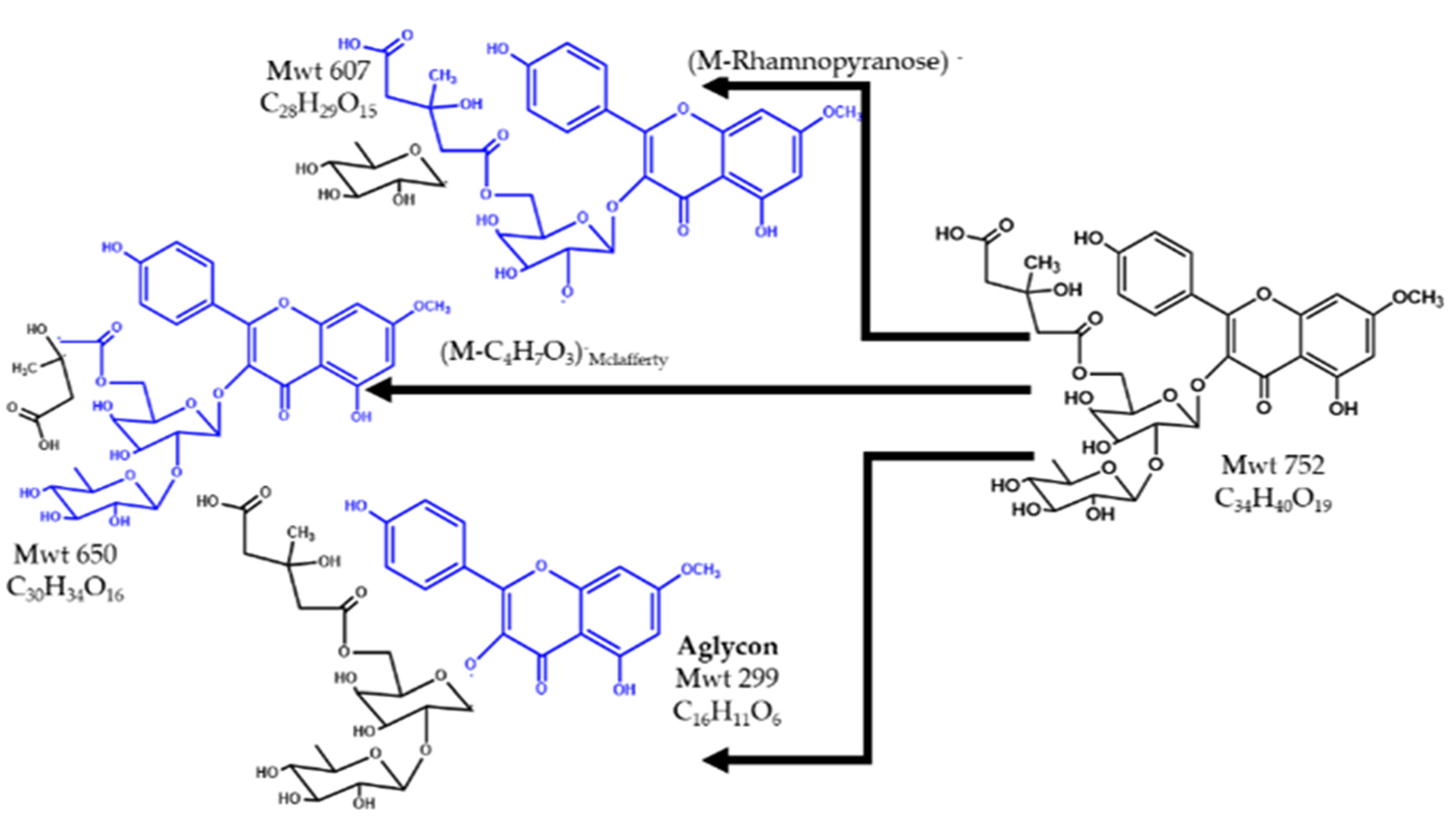 Pharmaceuticals 15 01406 g008