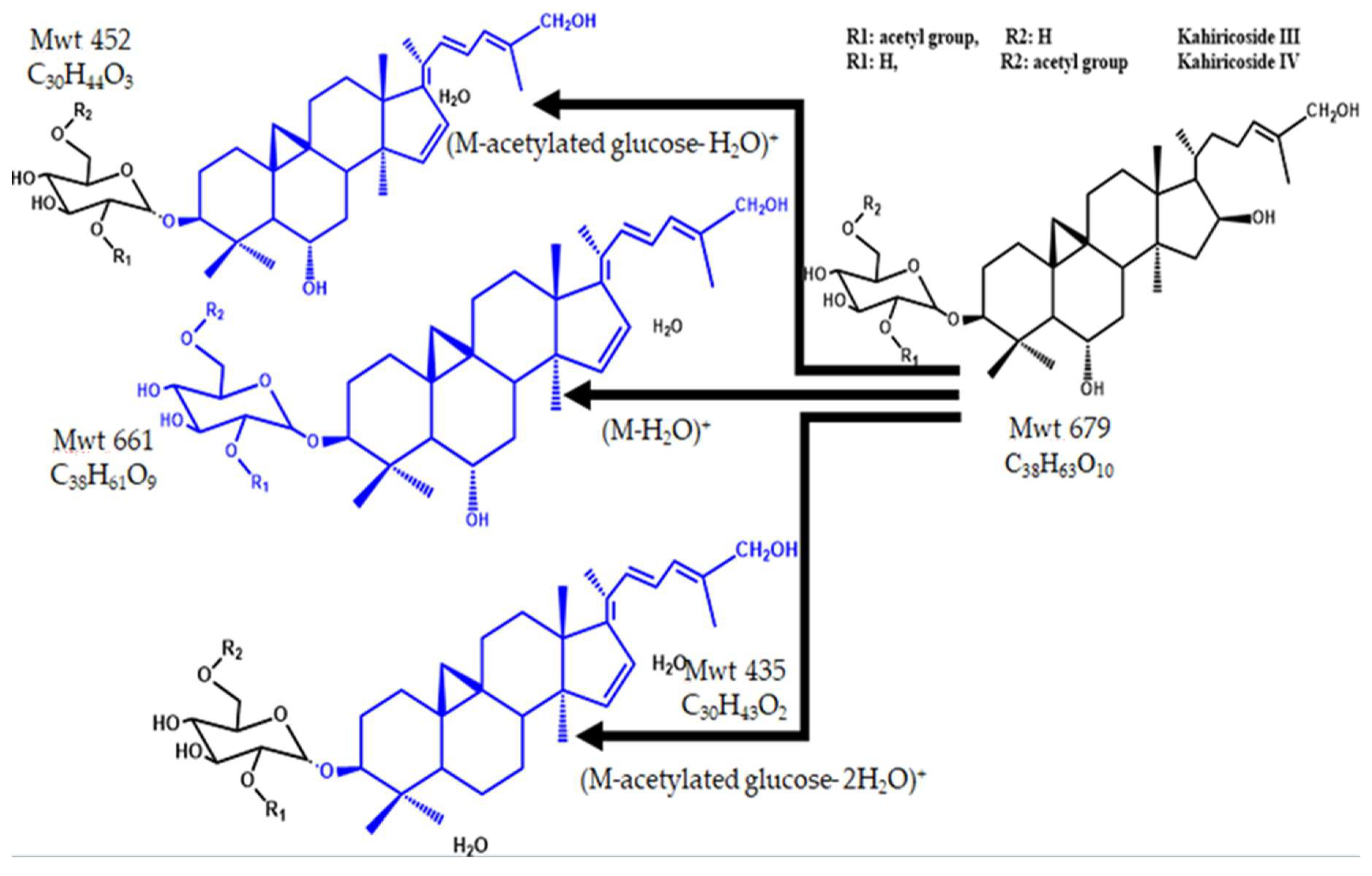 Pharmaceuticals 15 01406 g009