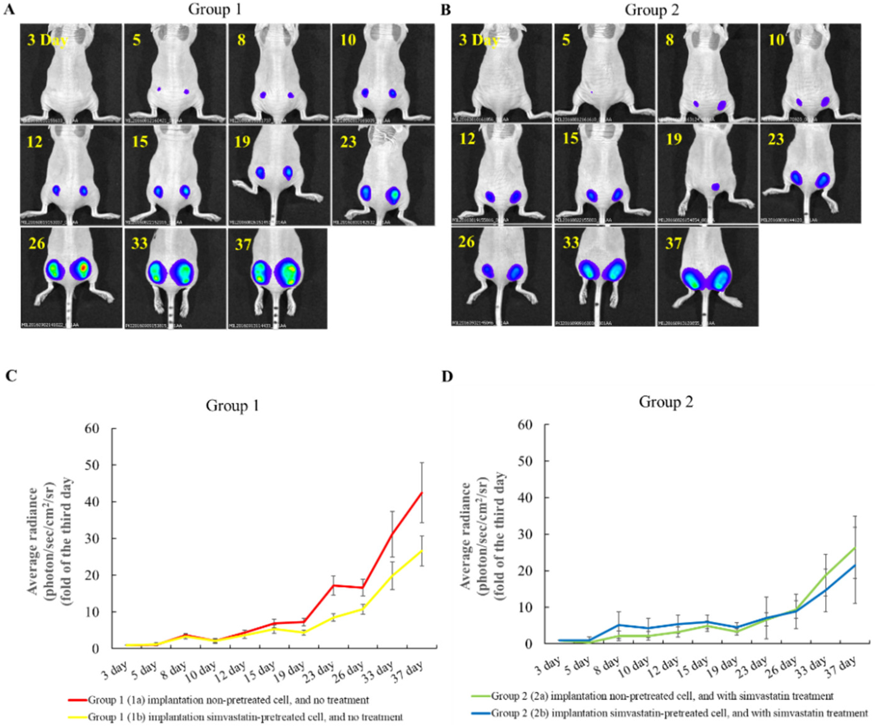 Pharmaceuticals 15 01408 g003a Pharmaceuticals 15 01408 g003a
