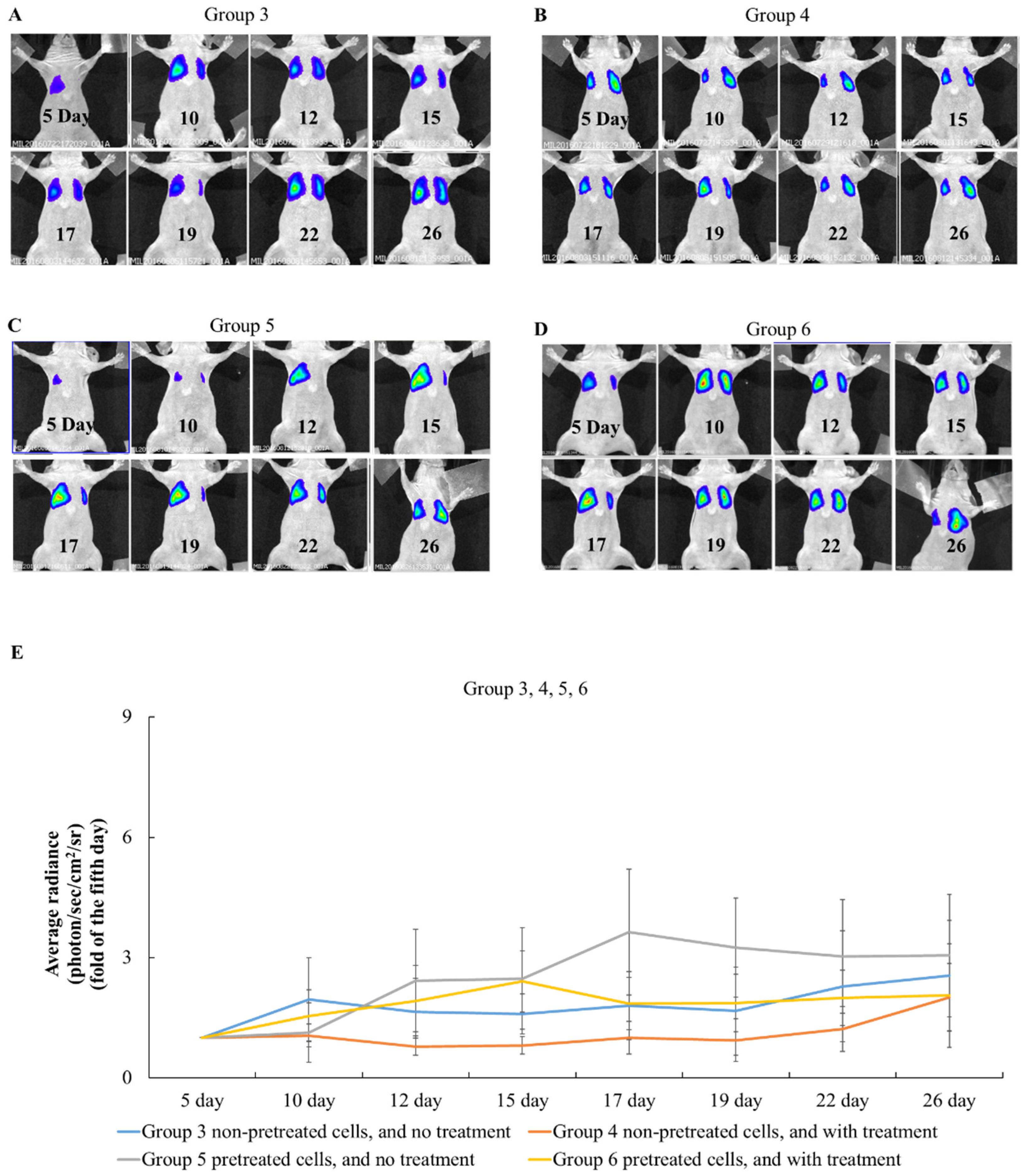 Pharmaceuticals 15 01408 g004 Pharmaceuticals 15 01408 g004