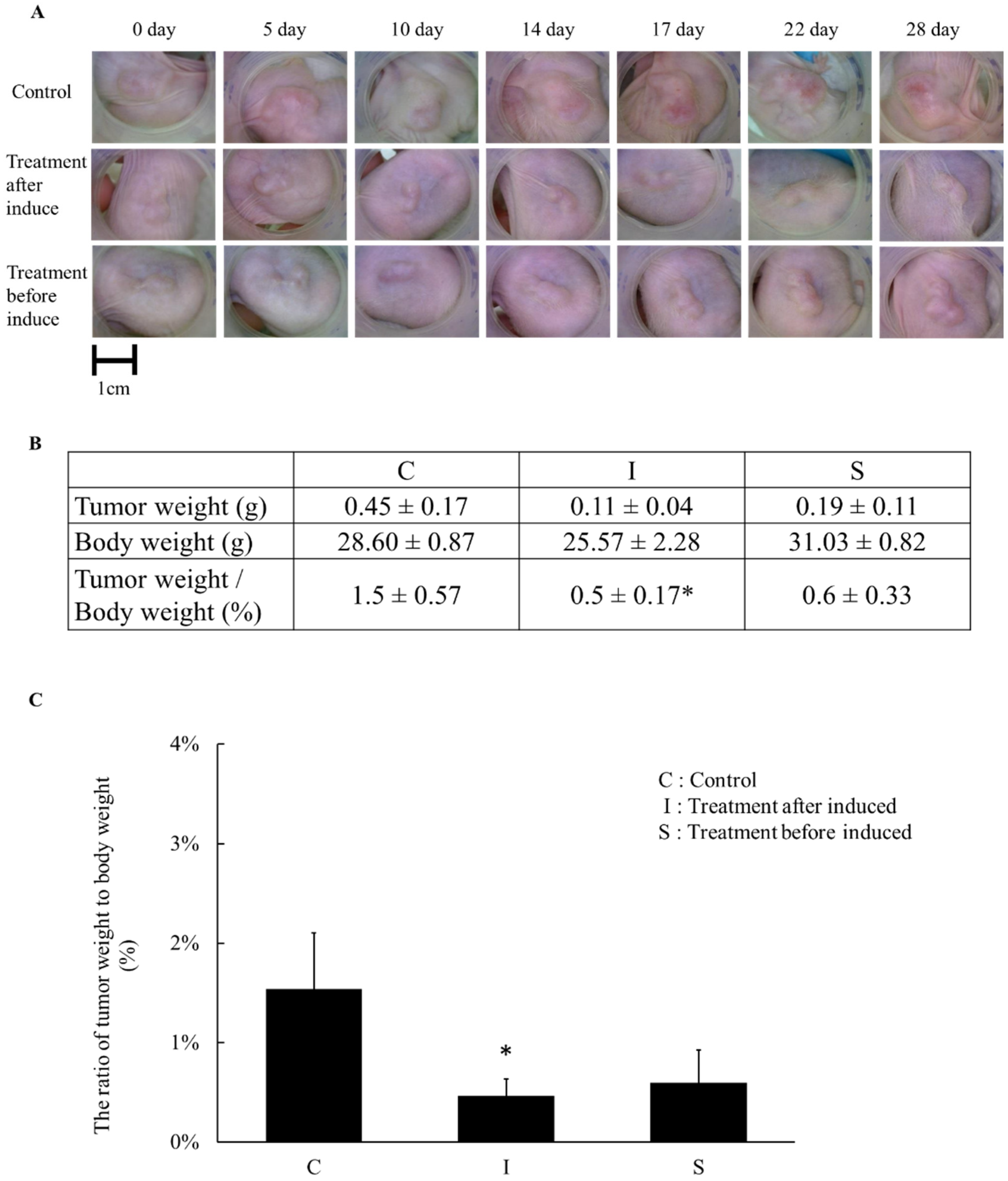 Pharmaceuticals 15 01408 g005 Pharmaceuticals 15 01408 g005