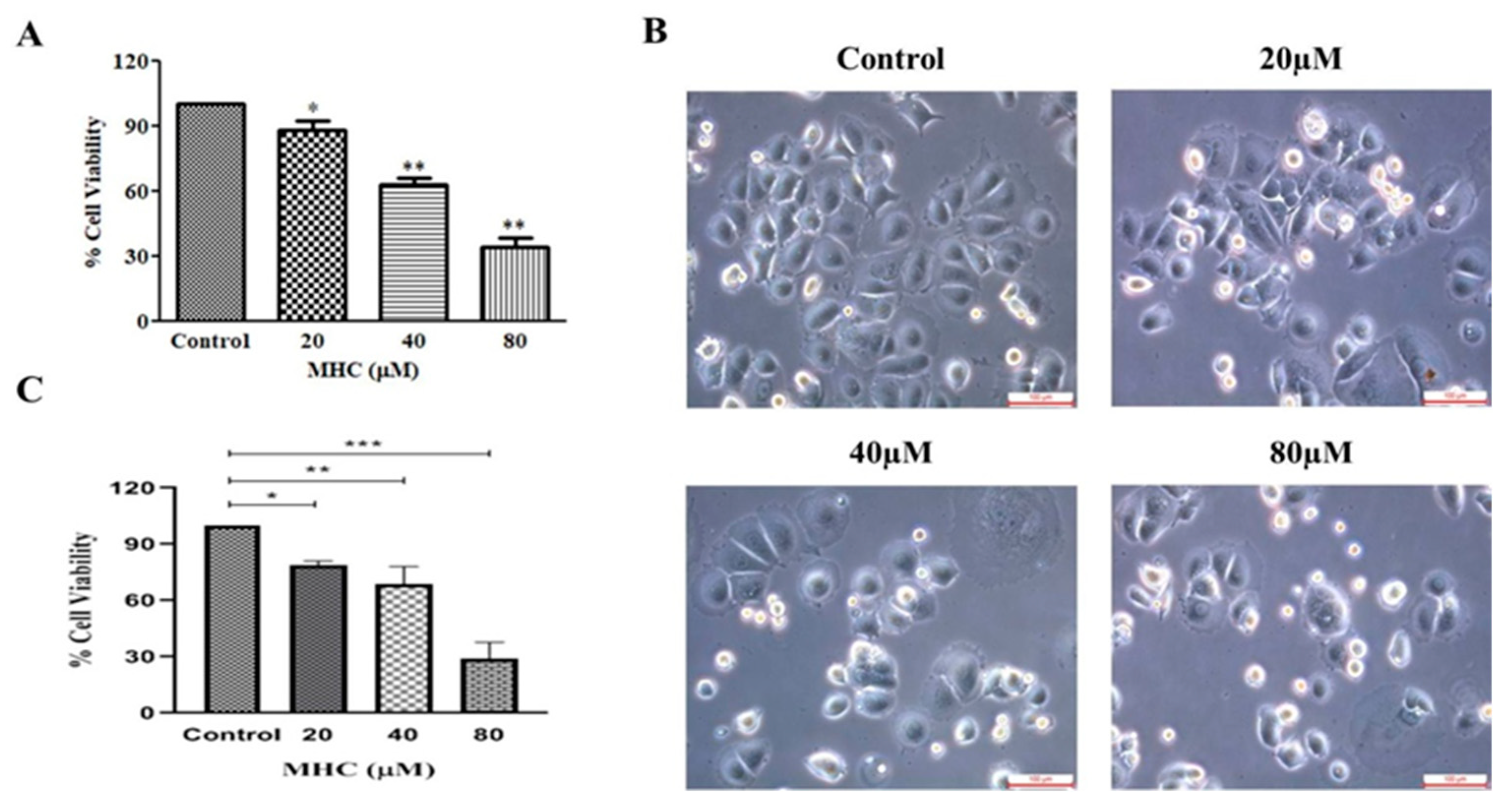 Pharmaceuticals 15 01410 g003 550