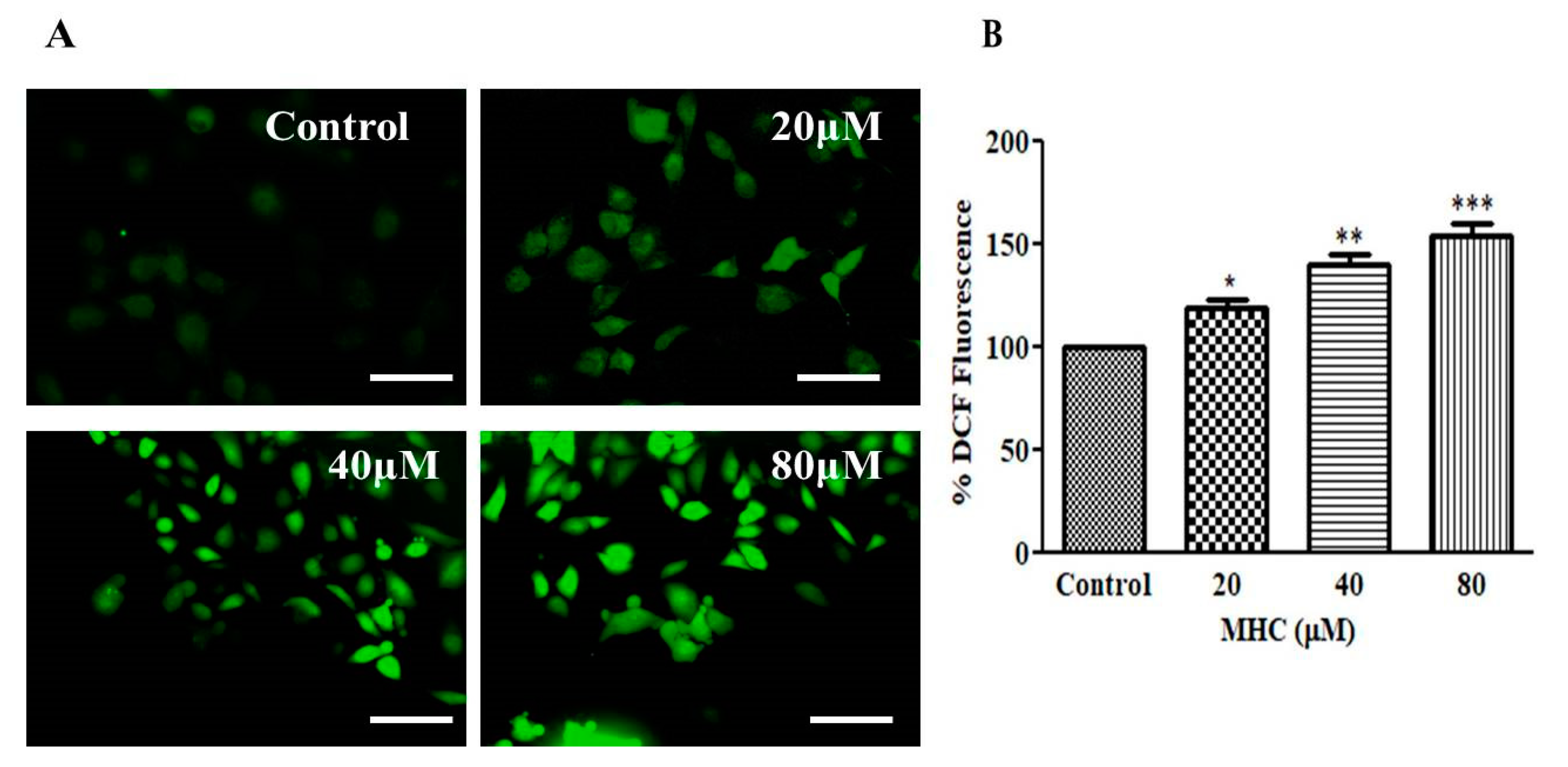 Pharmaceuticals 15 01410 g007 550