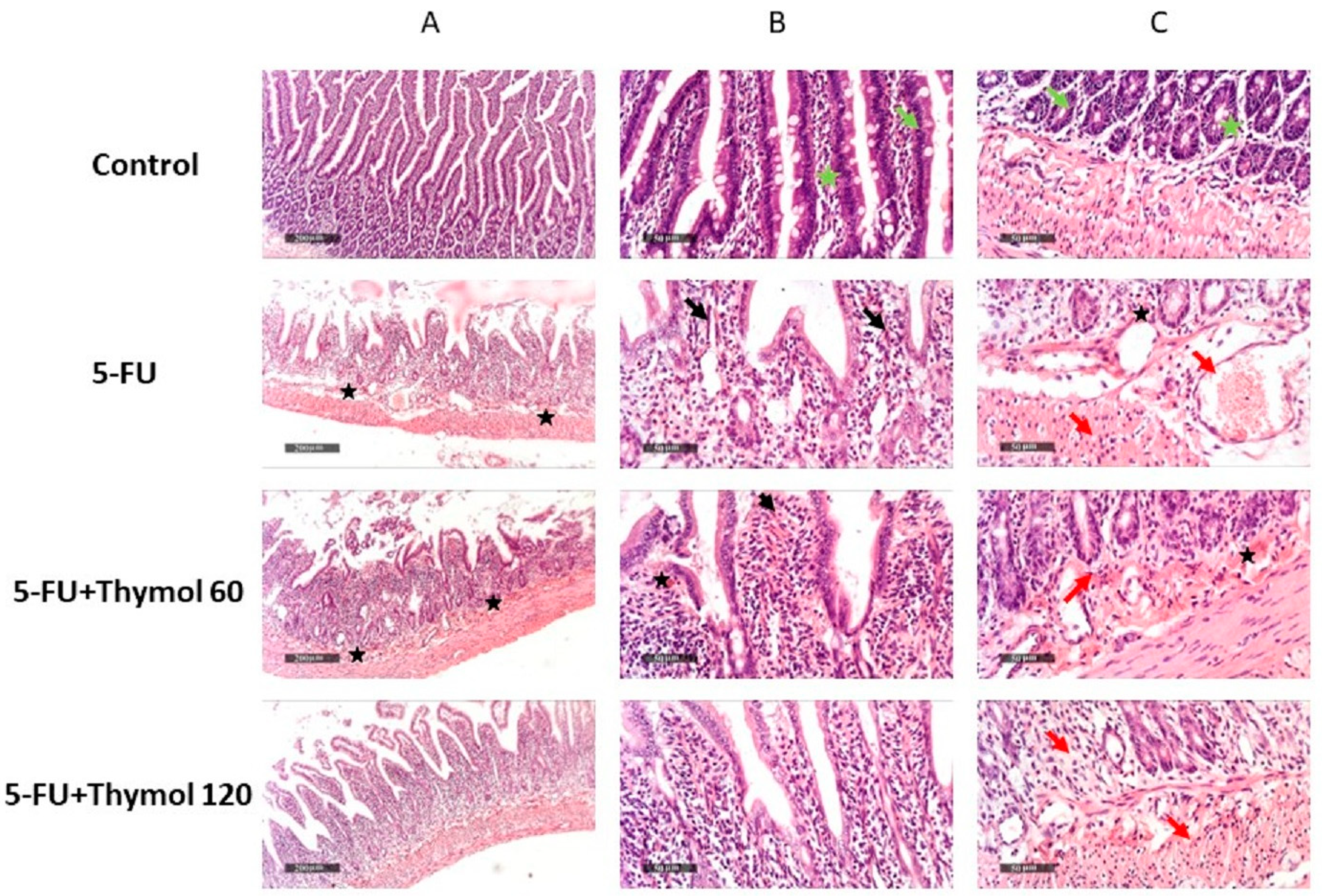 Pharmaceuticals 15 01412 g001