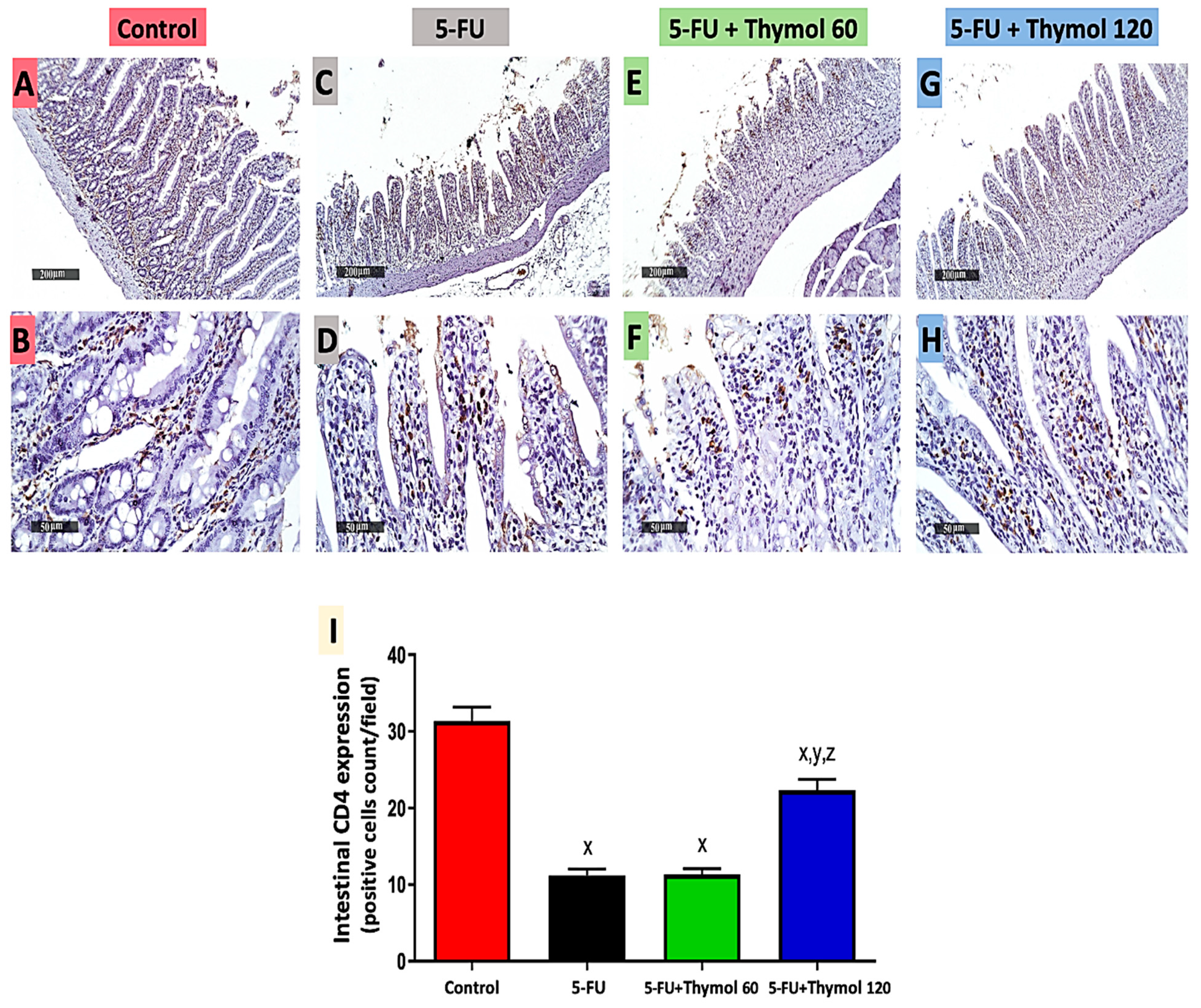Pharmaceuticals 15 01412 g003