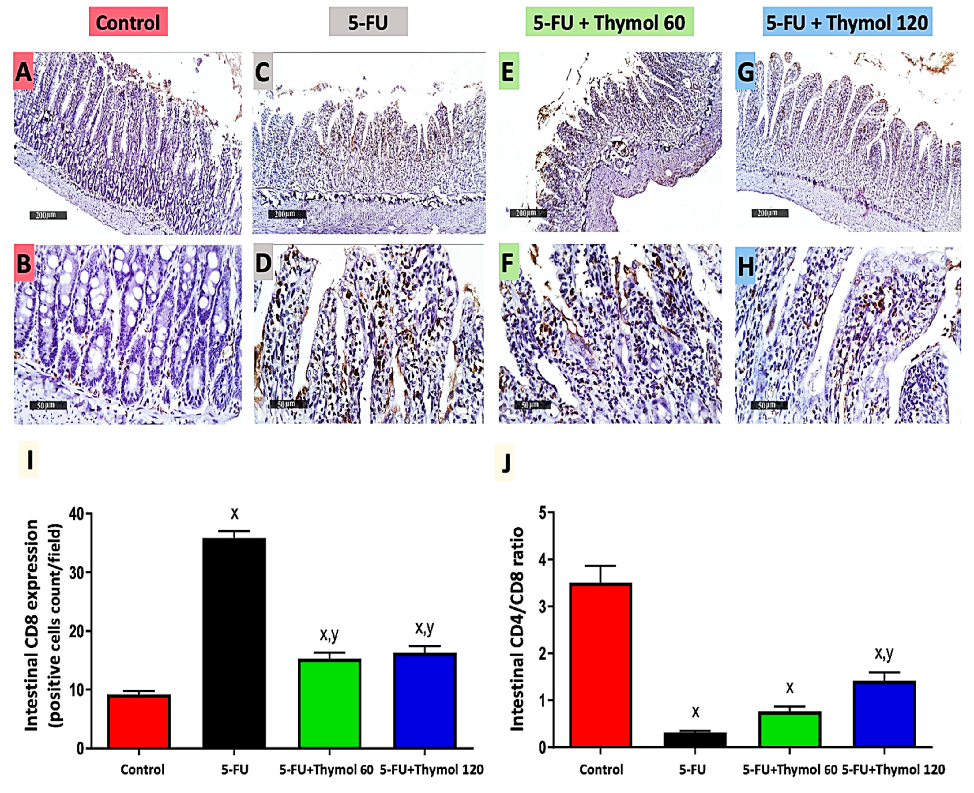 Pharmaceuticals 15 01412 g004
