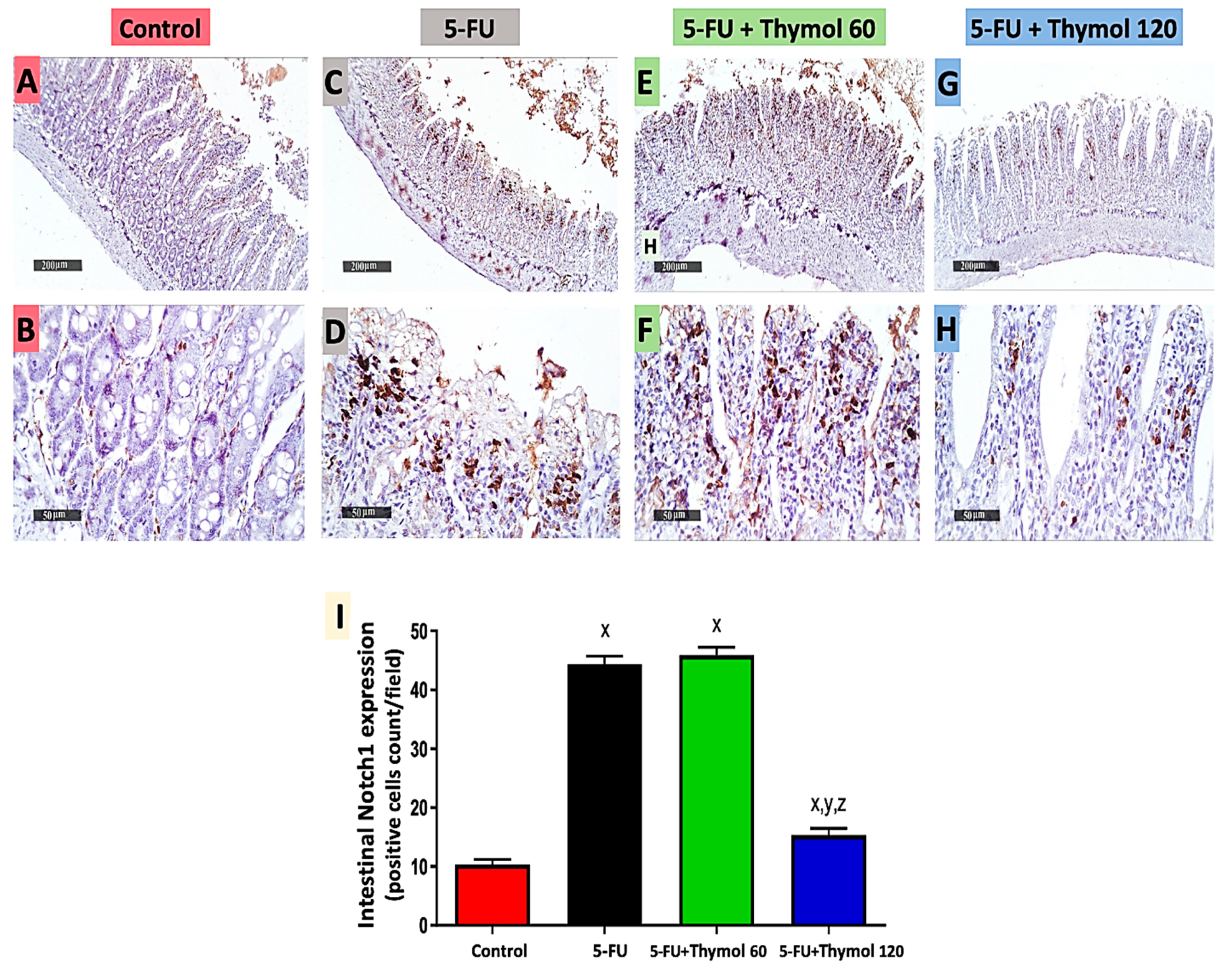 Pharmaceuticals 15 01412 g005