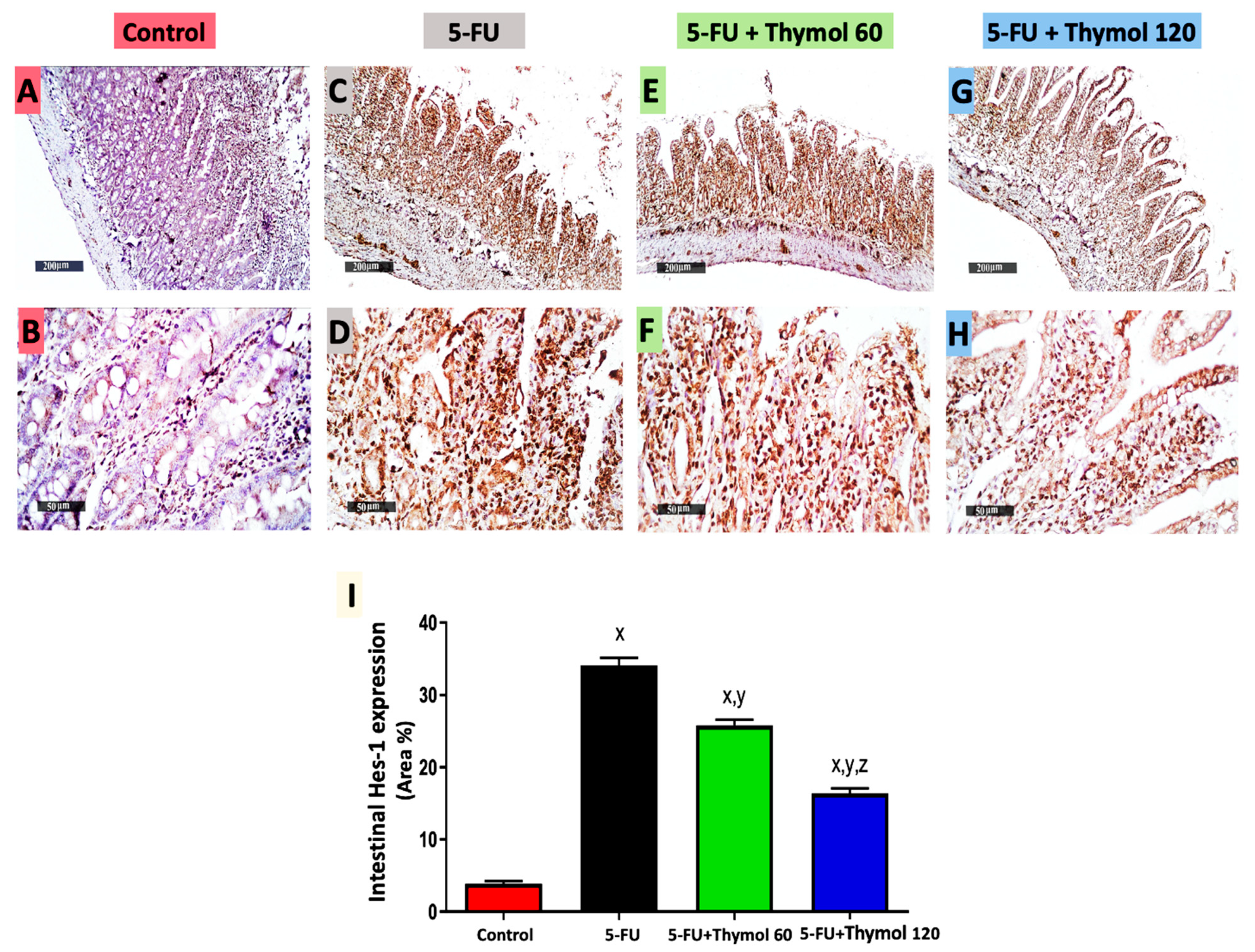Pharmaceuticals 15 01412 g006