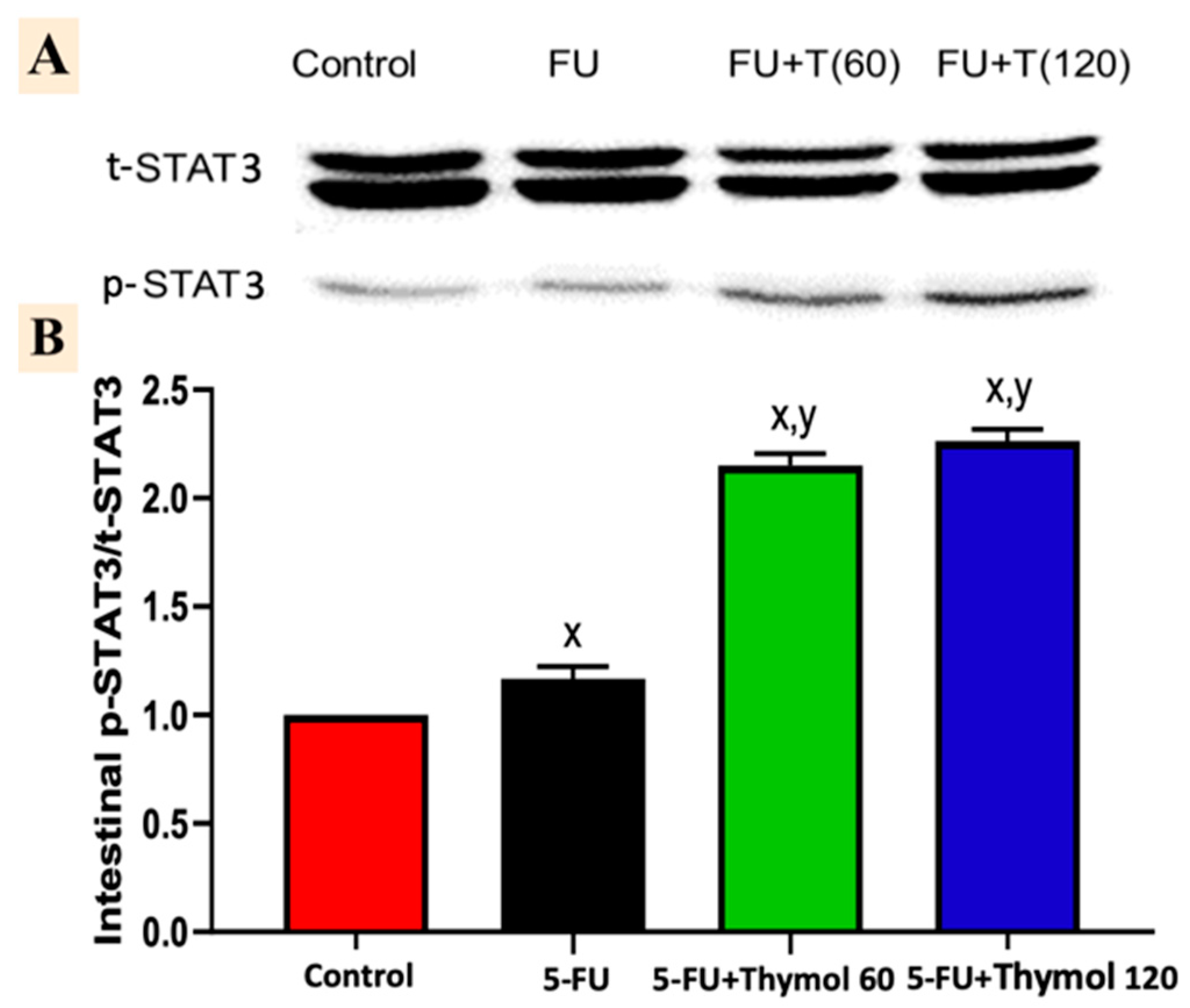 Pharmaceuticals 15 01412 g007