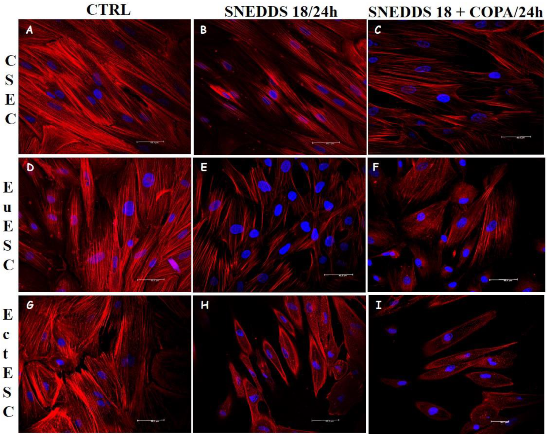 Pharmaceuticals 15 01414 g005
