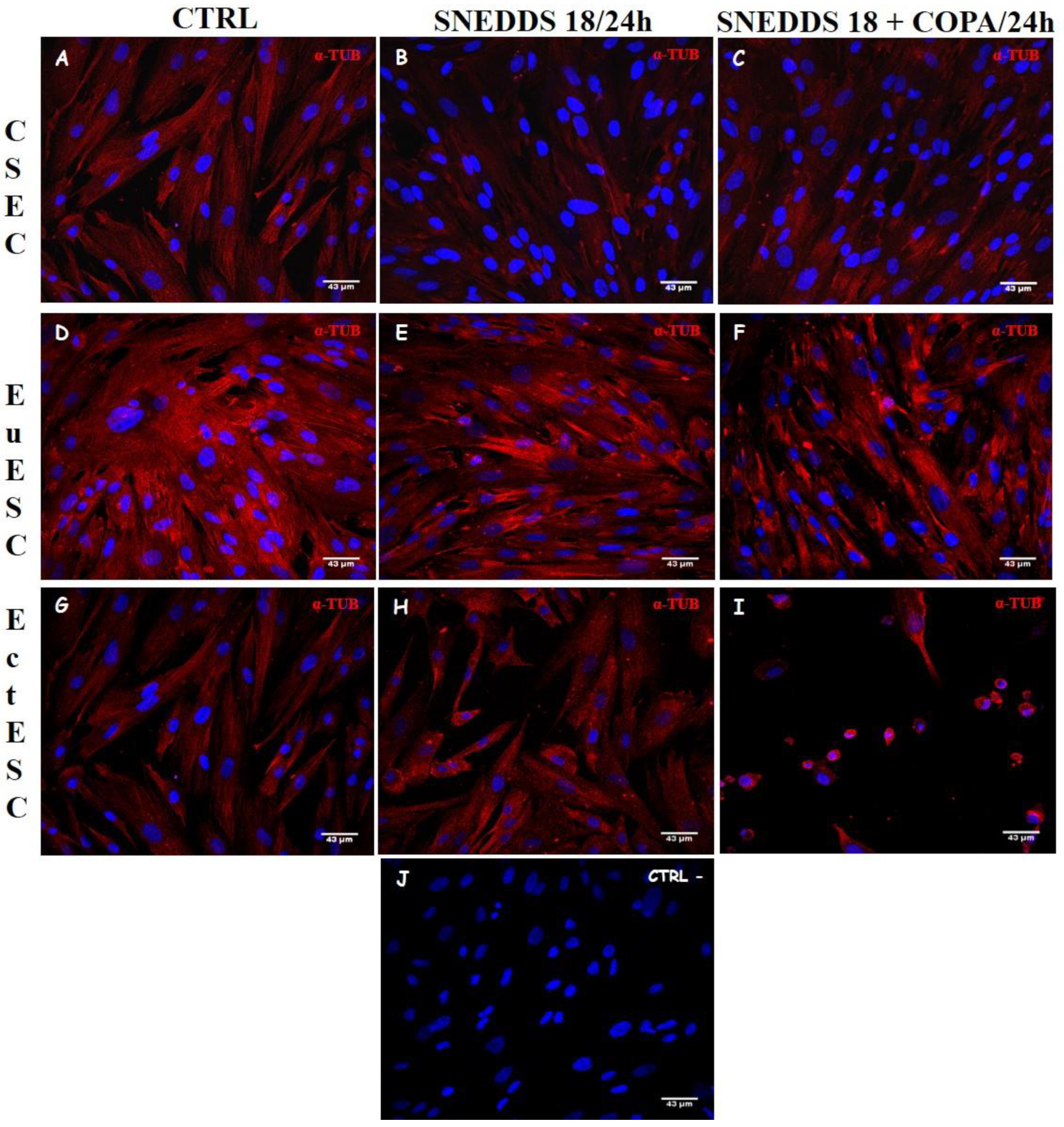 Pharmaceuticals 15 01414 g007