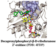 Pharmaceuticals 15 01415 i001 Pharmaceuticals 15 01415 i001