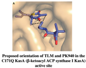 Pharmaceuticals 15 01415 i003 Pharmaceuticals 15 01415 i003