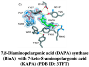 Pharmaceuticals 15 01415 i005 Pharmaceuticals 15 01415 i005