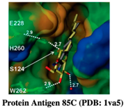 Pharmaceuticals 15 01415 i009 Pharmaceuticals 15 01415 i009