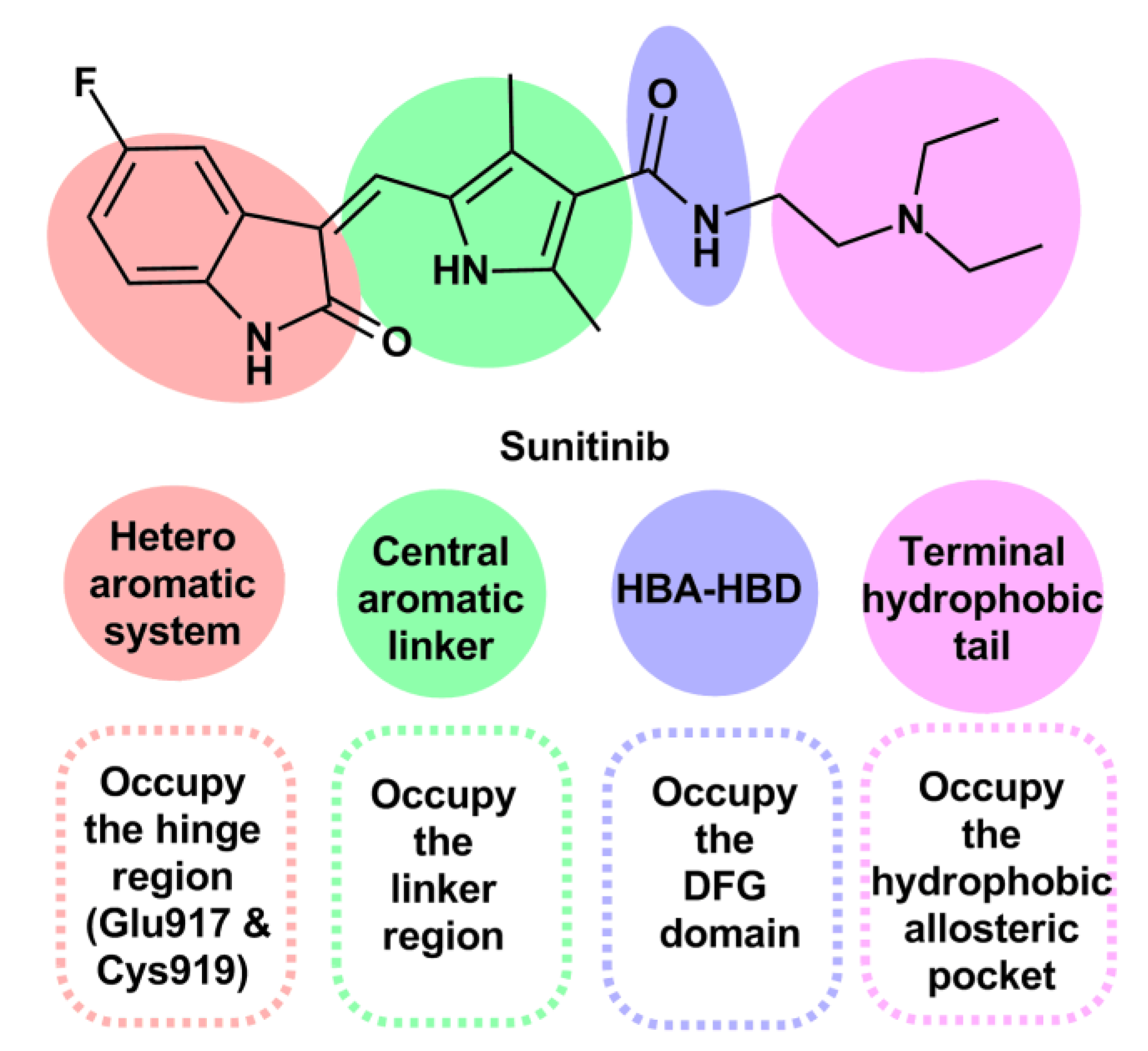Pharmaceuticals 15 01416 g002