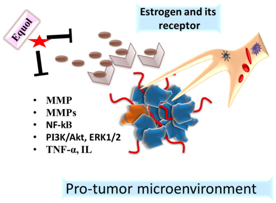 Gut Microbiota-Assisted Synthesis, Cellular Interactions and