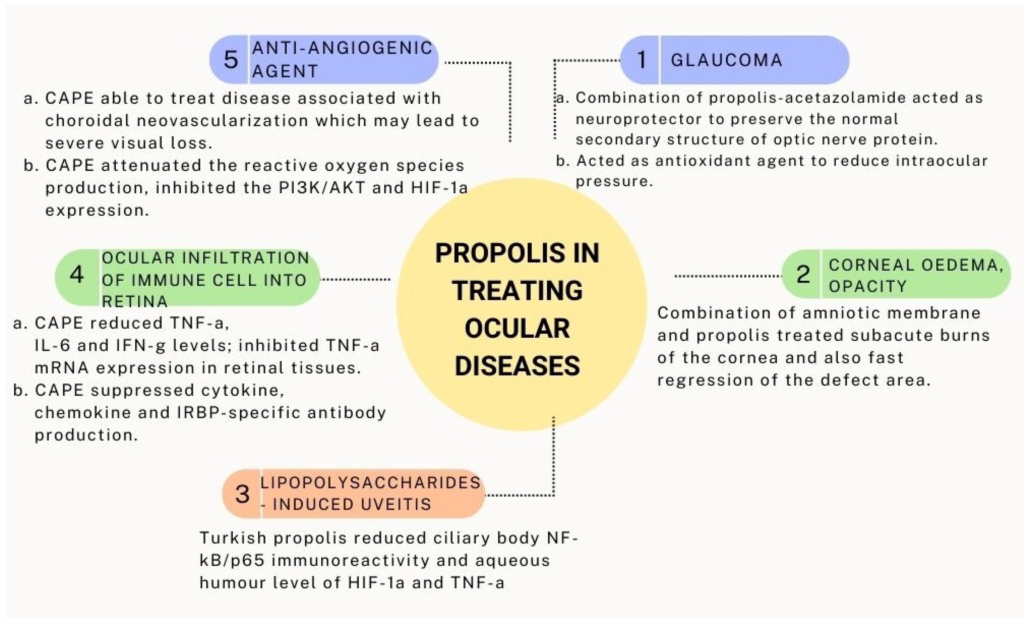 Pharmaceuticals 15 01419 g004 Pharmaceuticals 15 01419 g004