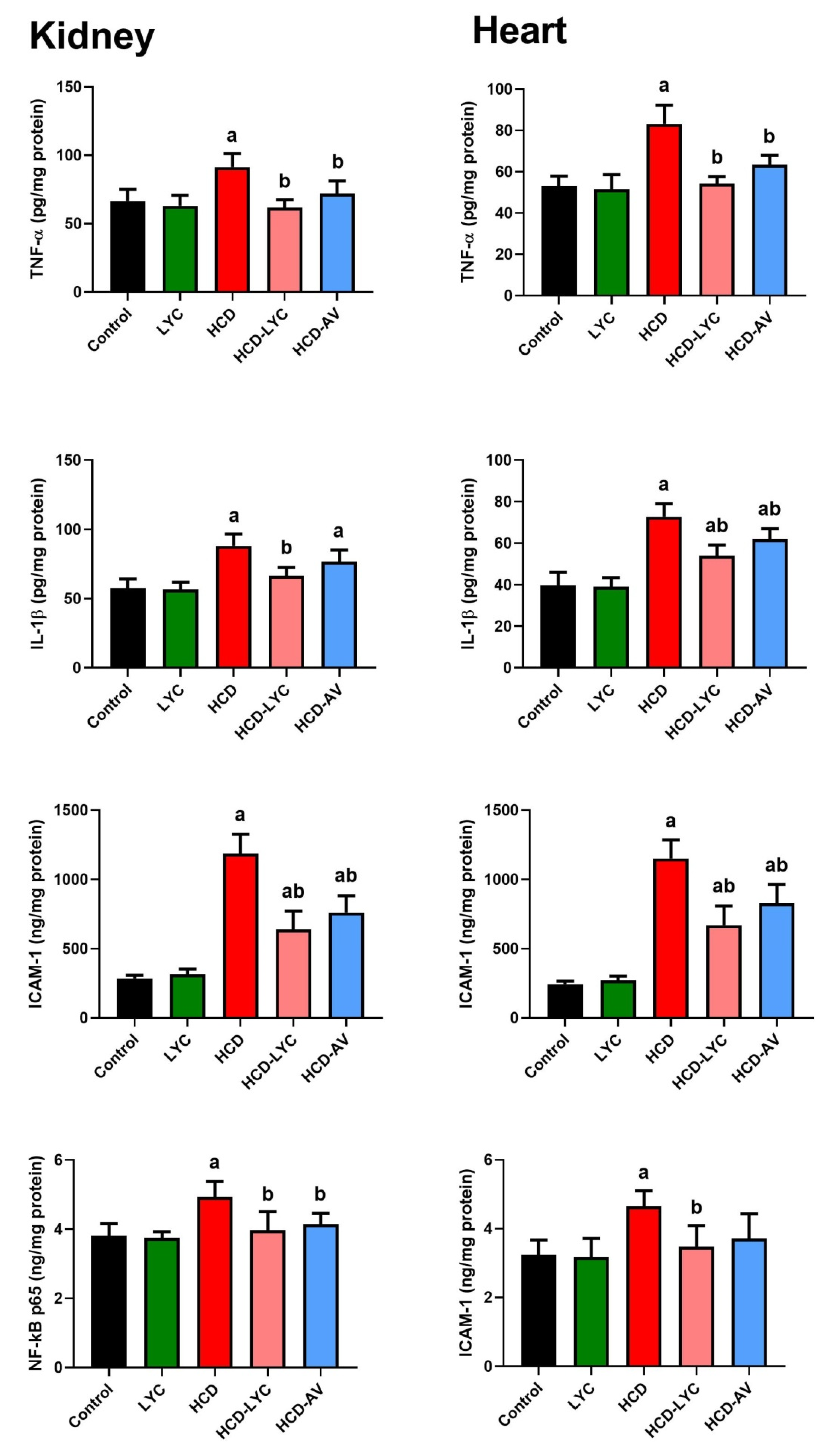 Pharmaceuticals 15 01420 g005 Pharmaceuticals 15 01420 g005