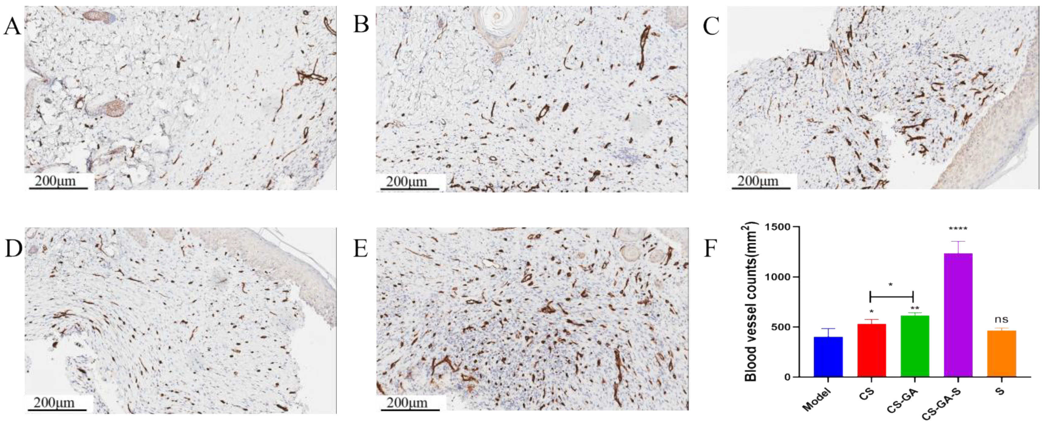 Pharmaceuticals 15 01422 g012 Pharmaceuticals 15 01422 g012