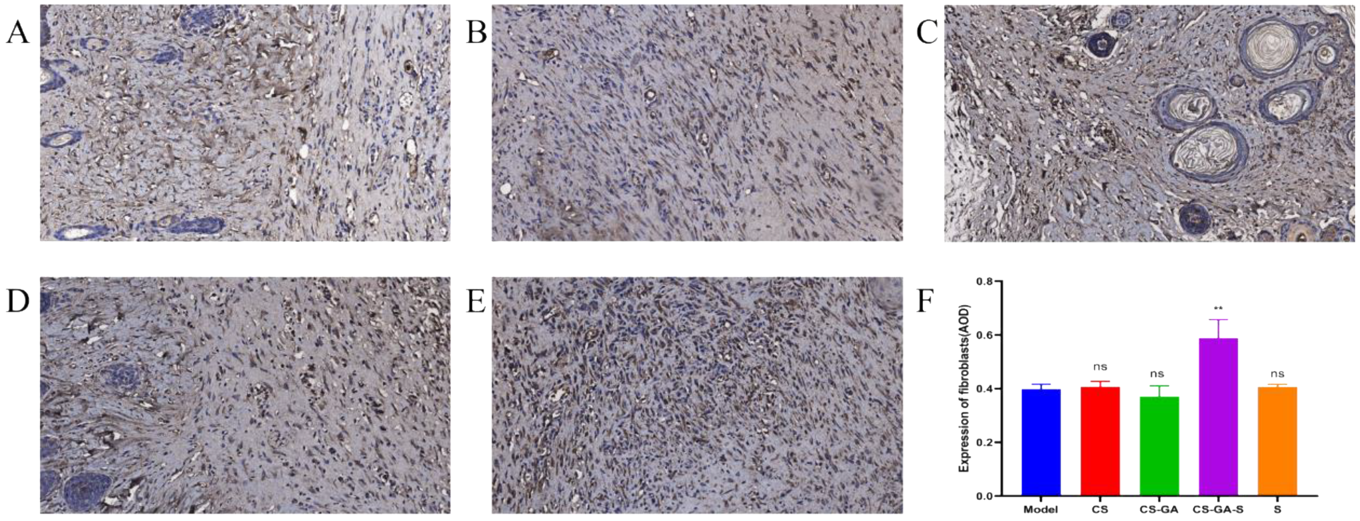 Pharmaceuticals 15 01422 g014 Pharmaceuticals 15 01422 g014