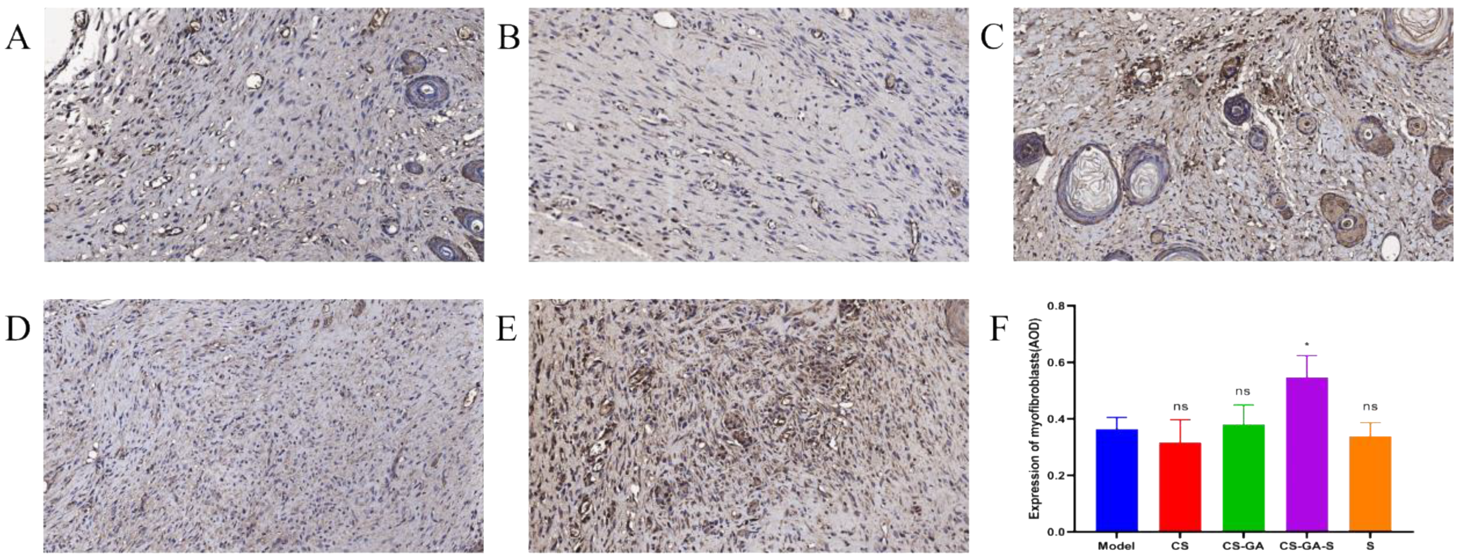 Pharmaceuticals 15 01422 g015 Pharmaceuticals 15 01422 g015