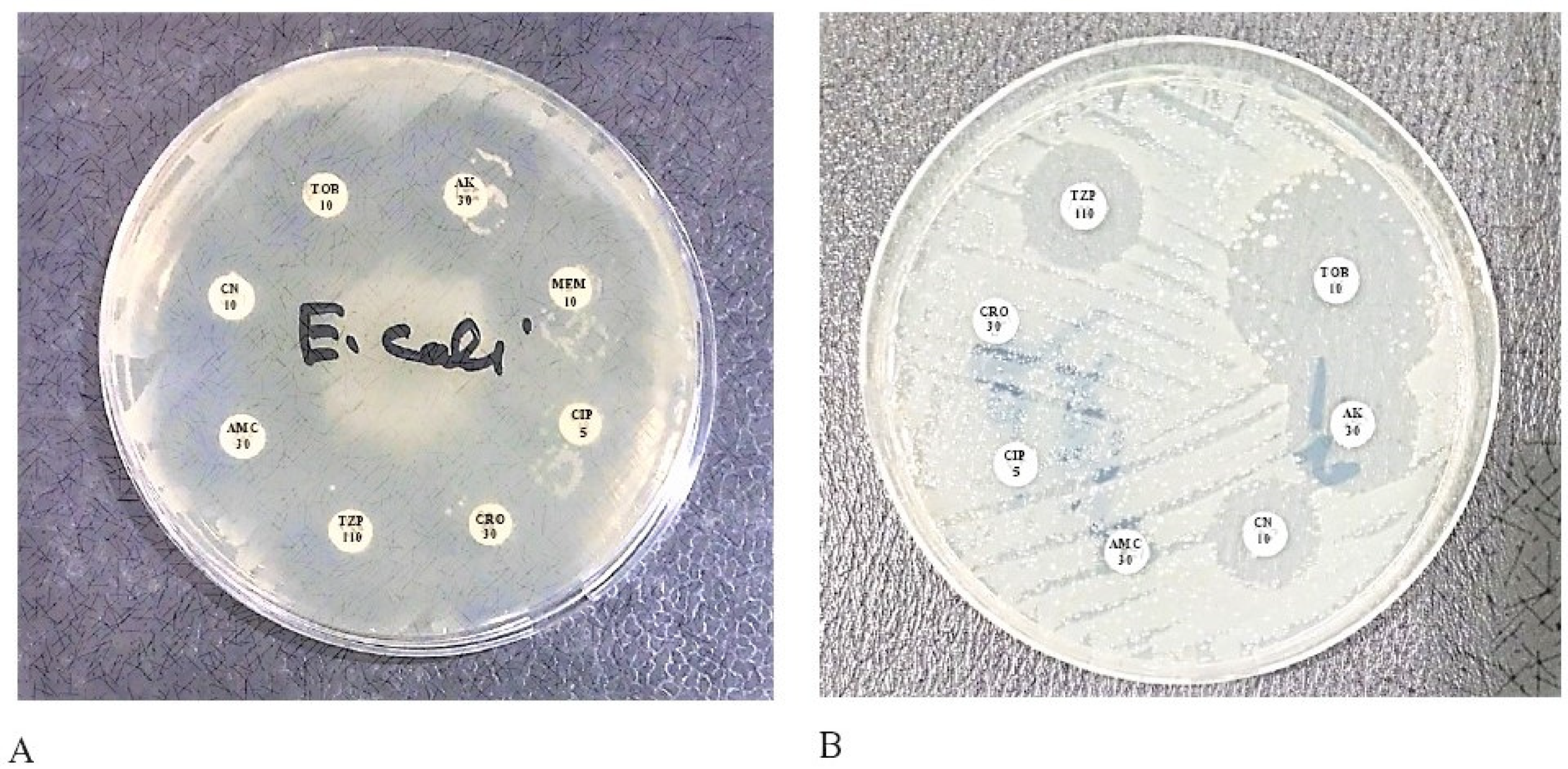 Pharmaceuticals 15 01426 g001 Pharmaceuticals 15 01426 g001