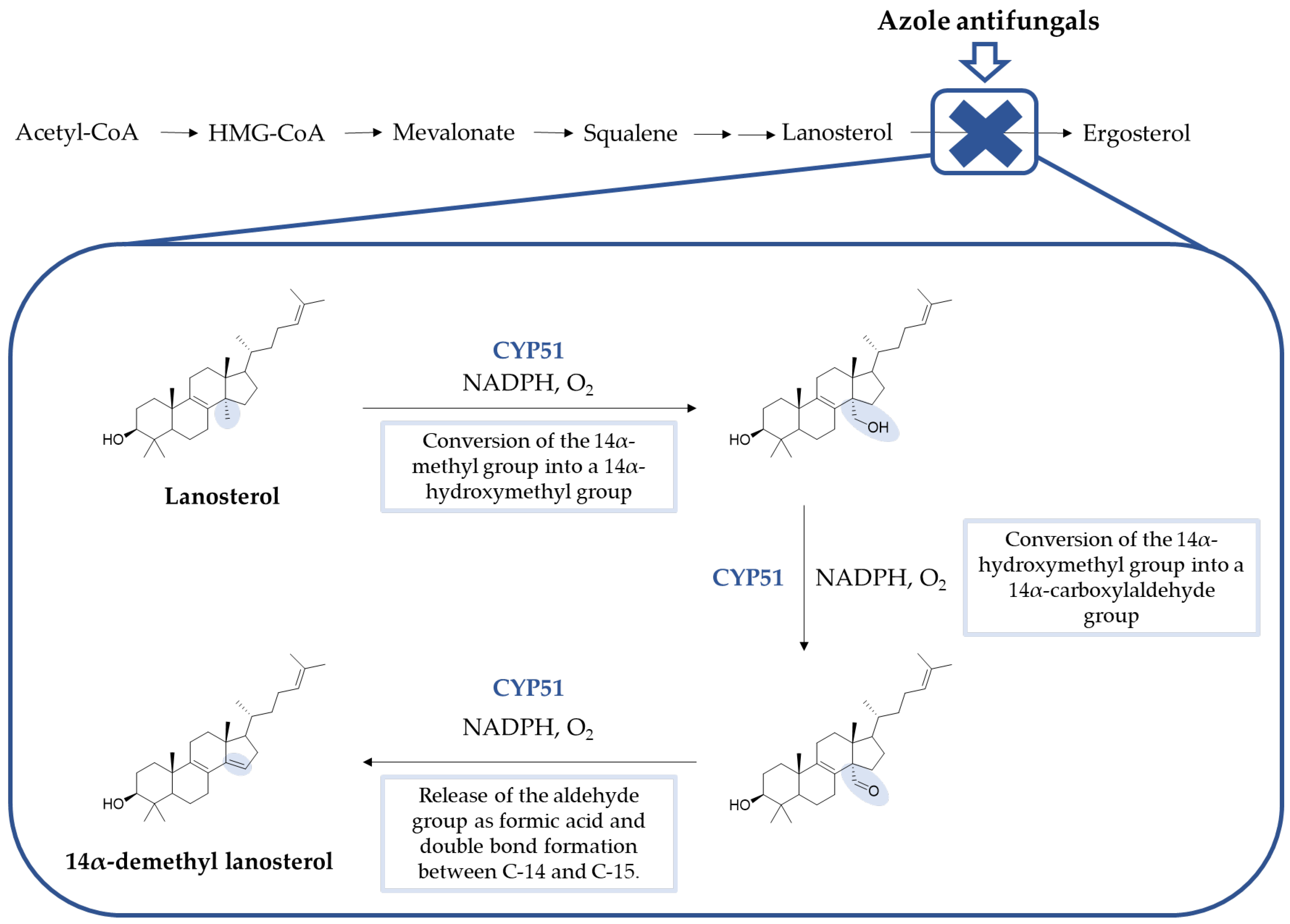 Pharmaceuticals 15 01427 g004 Pharmaceuticals 15 01427 g004