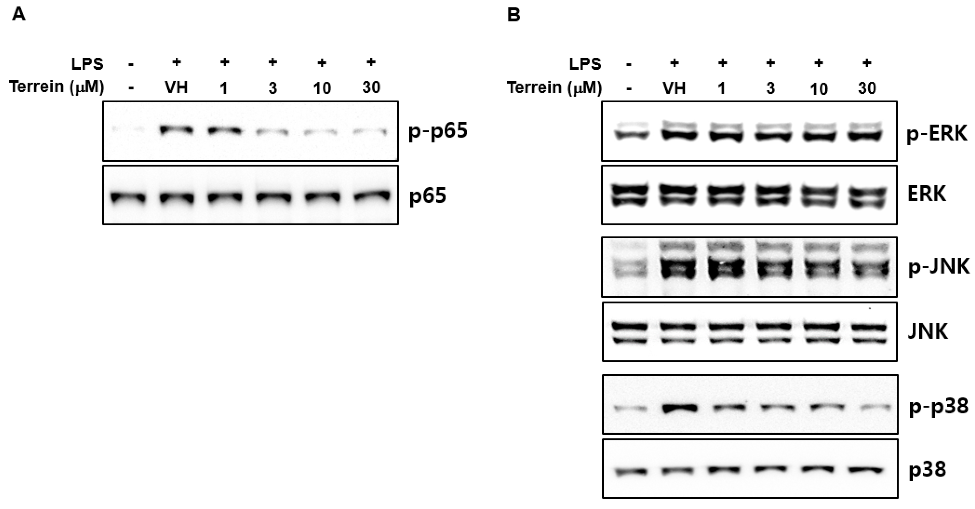 Pharmaceuticals 15 01429 g006 Pharmaceuticals 15 01429 g006