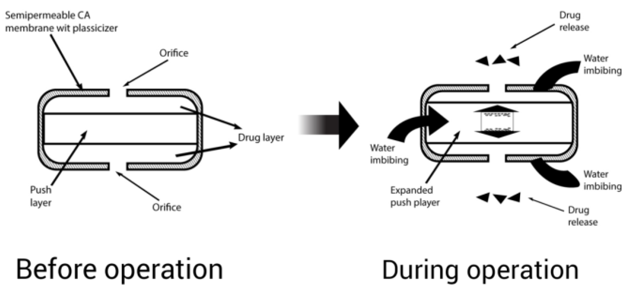 Pharmaceuticals Free FullText Osmotic Pump Drug Delivery Systems—A