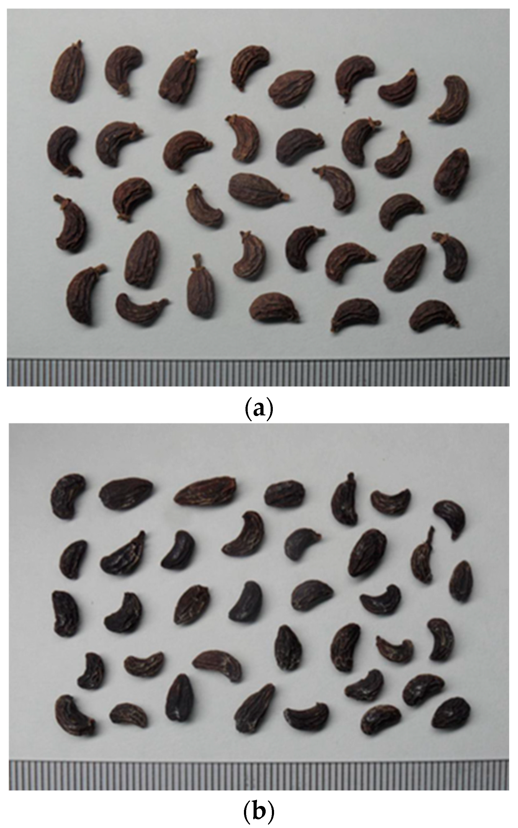 Pharmaceuticals 15 01433 g001 Pharmaceuticals 15 01433 g001