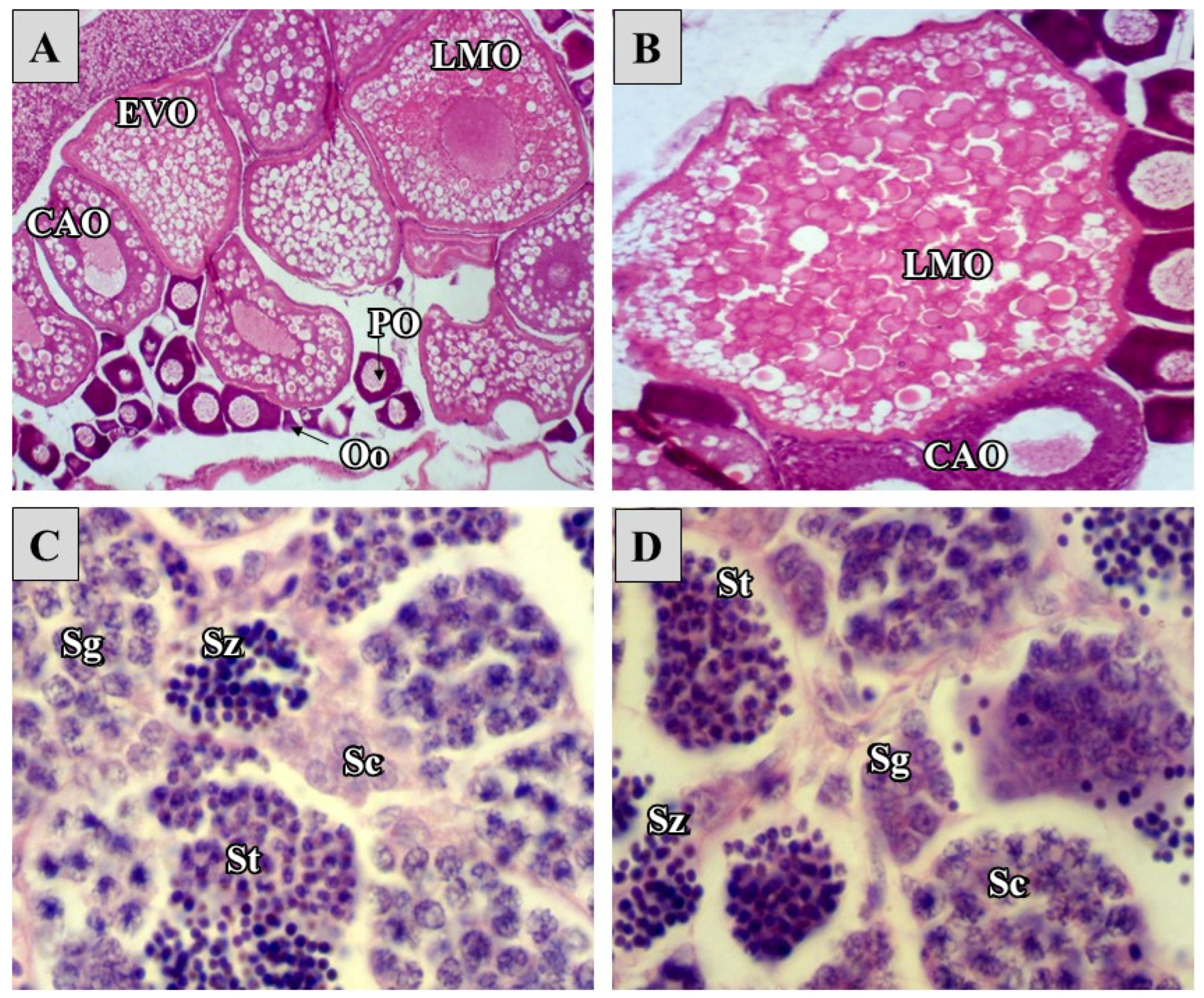 Pharmaceuticals 15 01434 g004