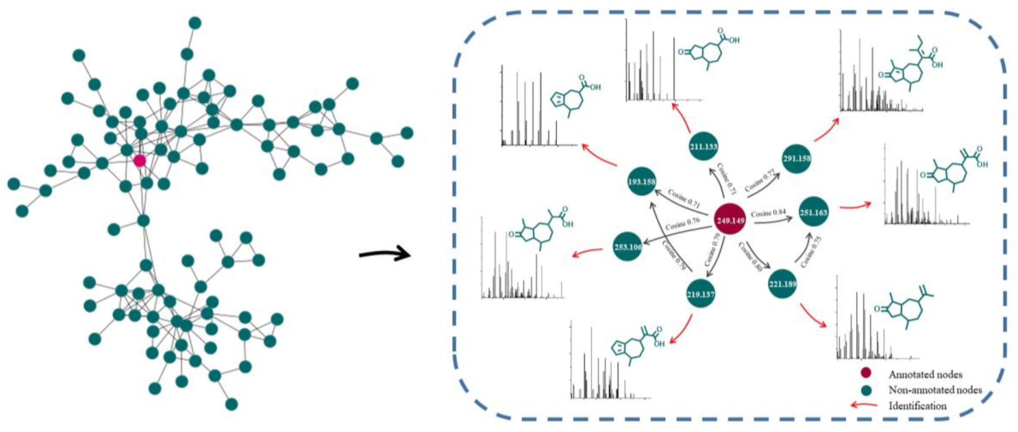Pharmaceuticals 15 01435 g001 Pharmaceuticals 15 01435 g001