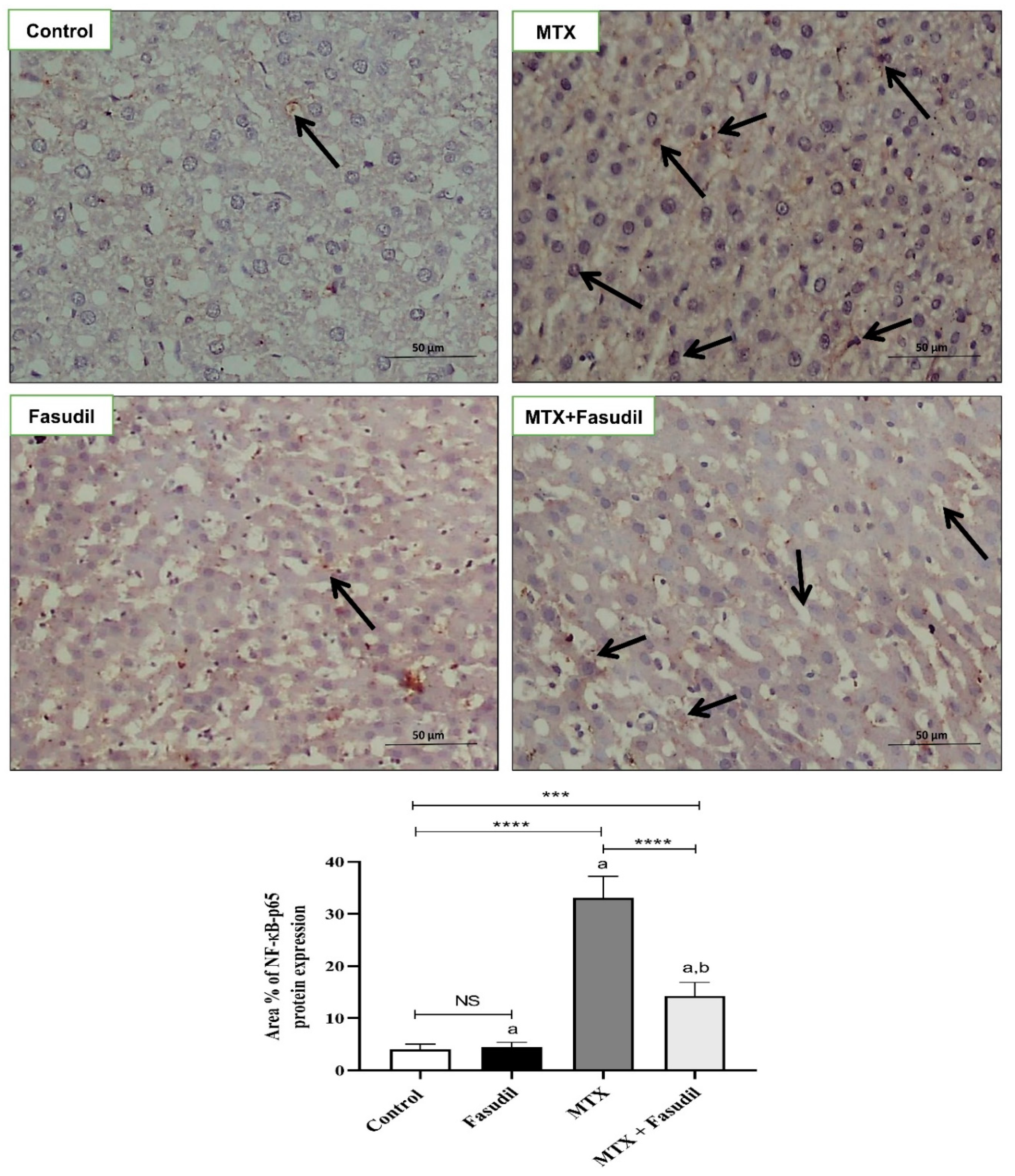 Pharmaceuticals 15 01436 g006 Pharmaceuticals 15 01436 g006