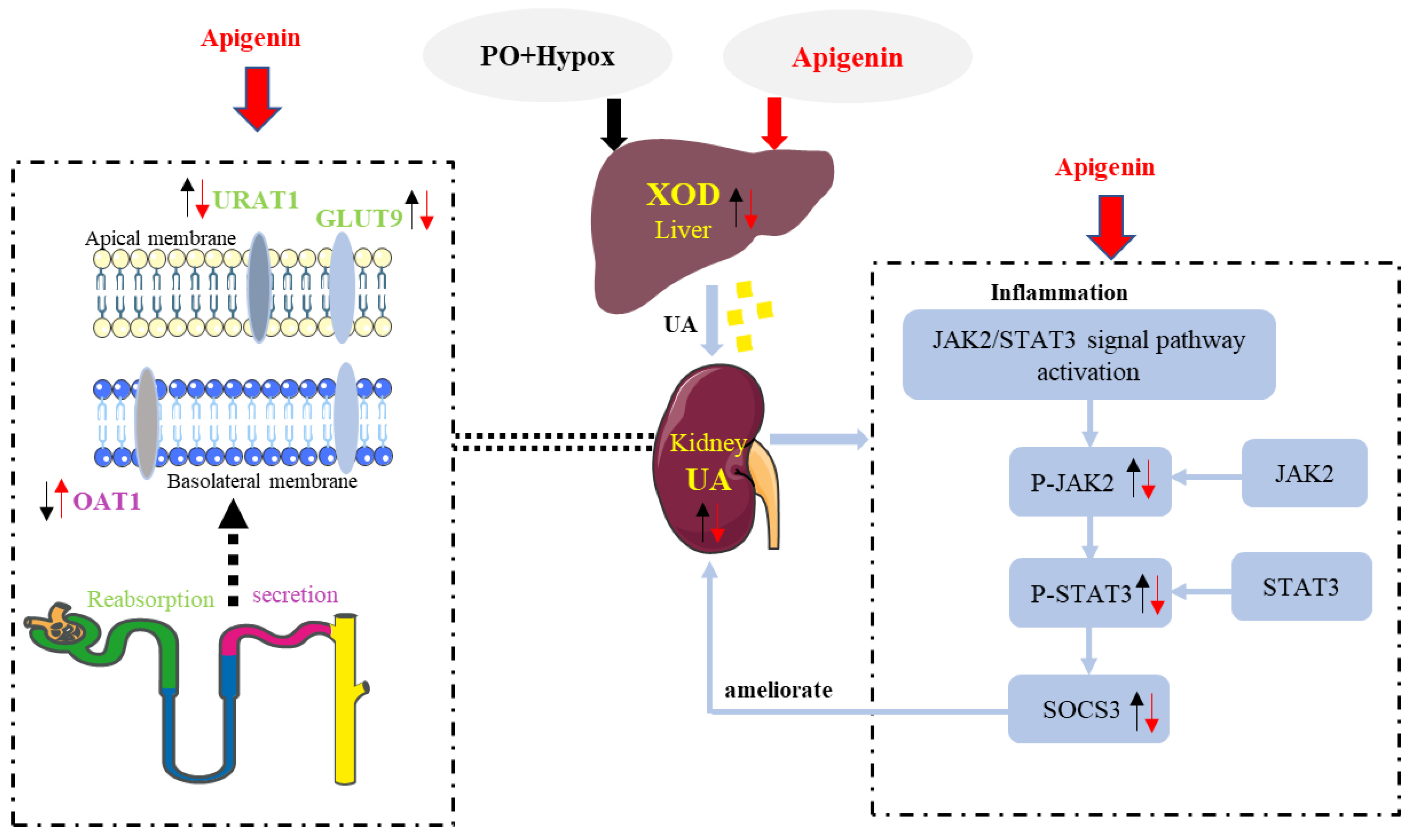Pharmaceuticals 15 01442 g008