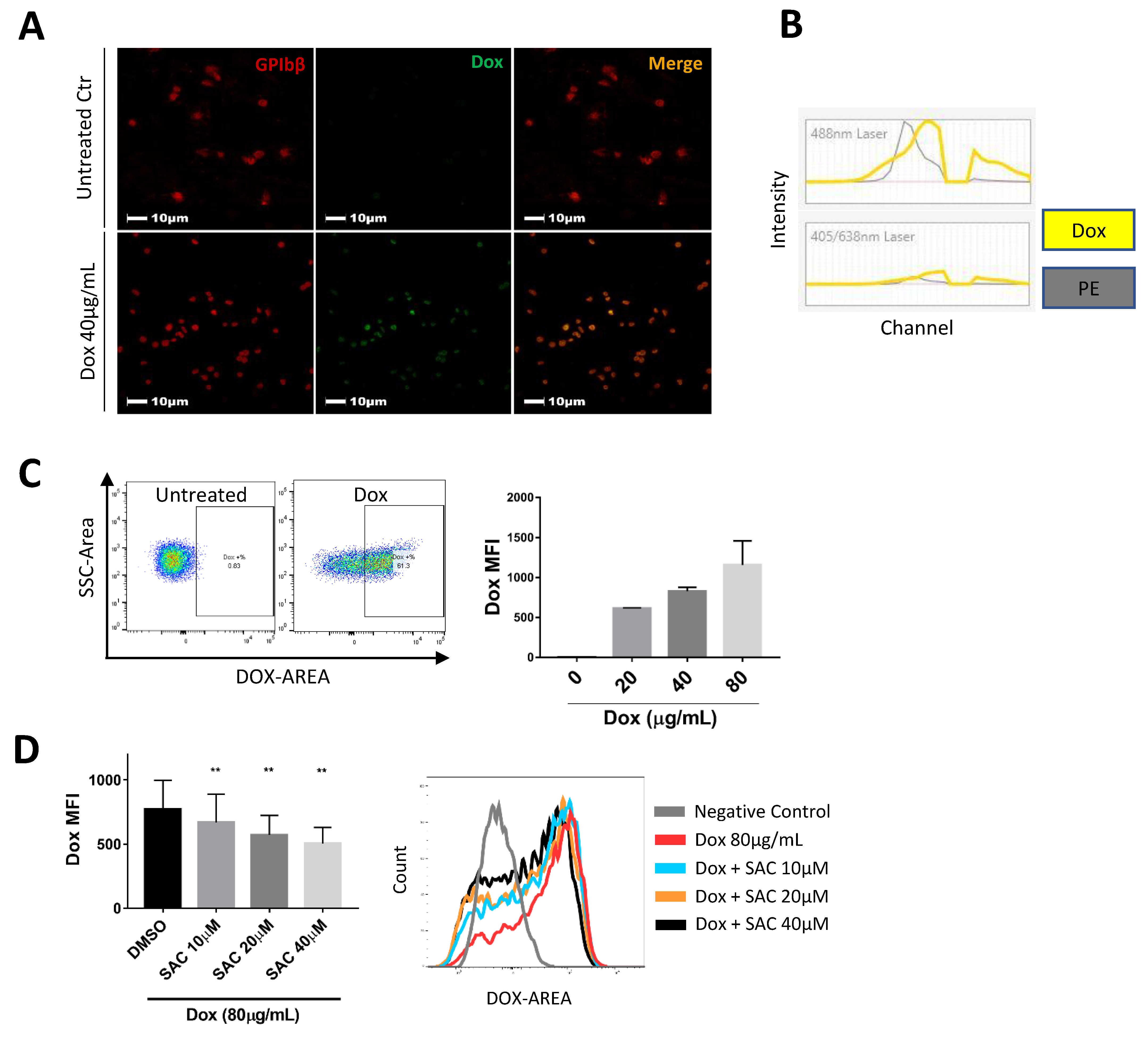 Pharmaceuticals 15 01444 g004 Pharmaceuticals 15 01444 g004