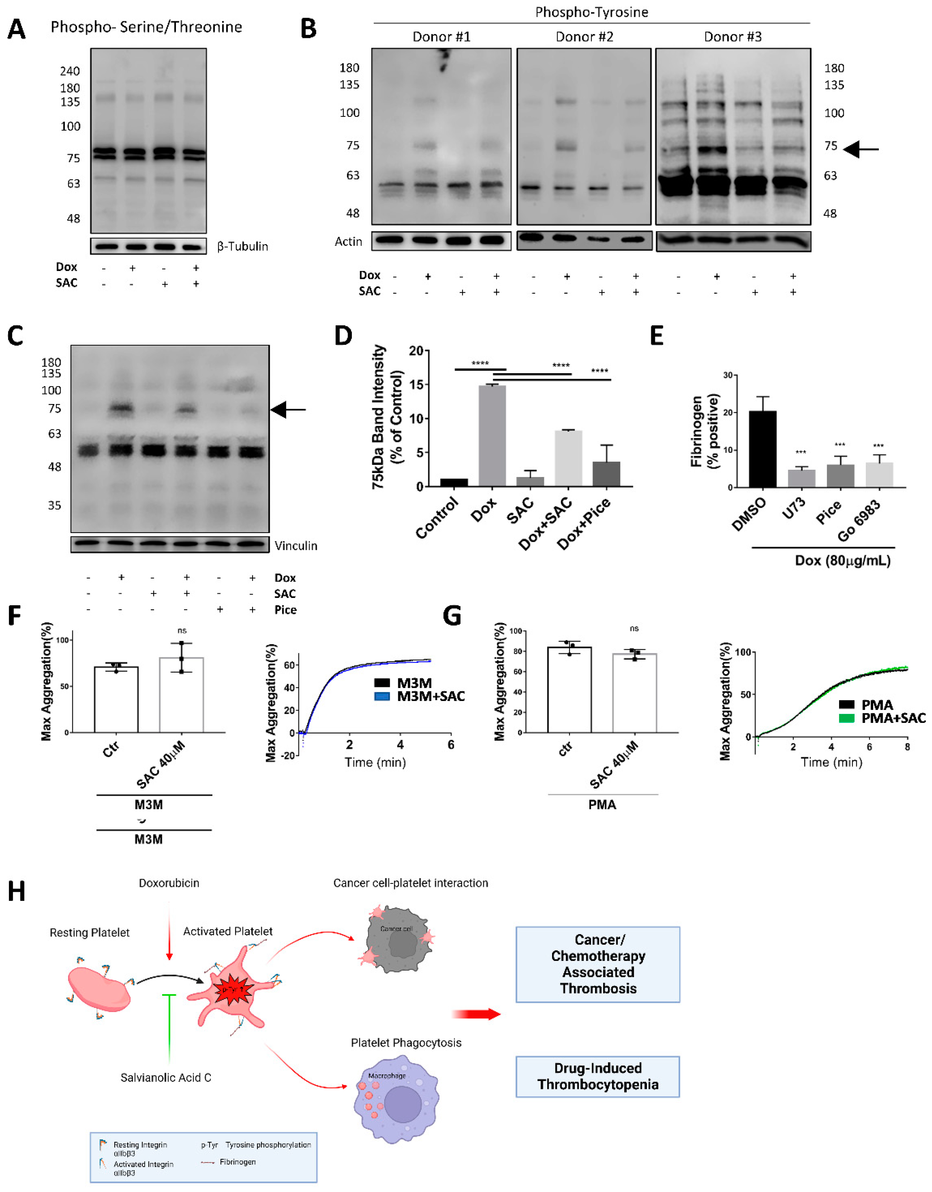 Pharmaceuticals 15 01444 g005 Pharmaceuticals 15 01444 g005