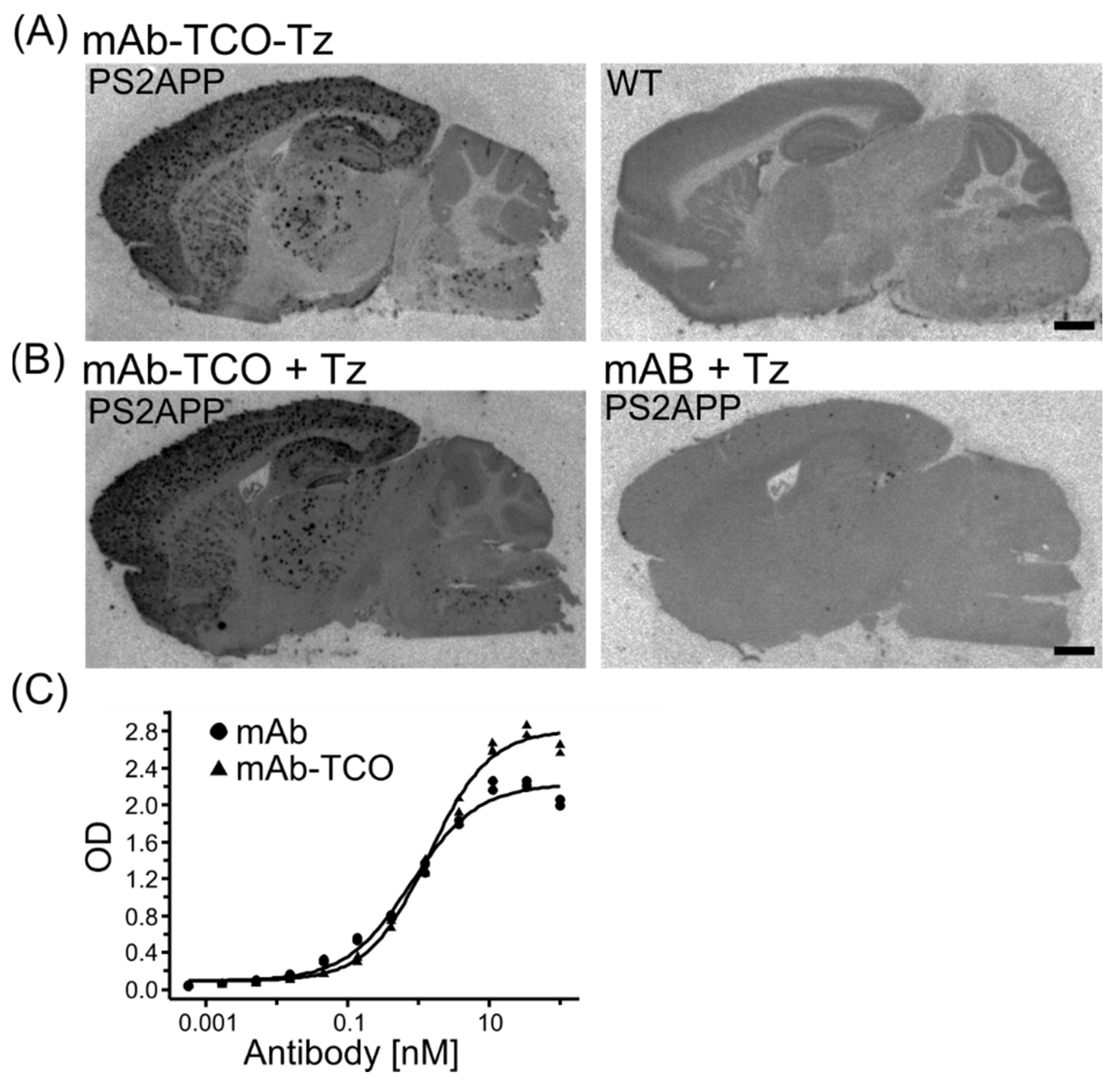 Pharmaceuticals 15 01445 g003