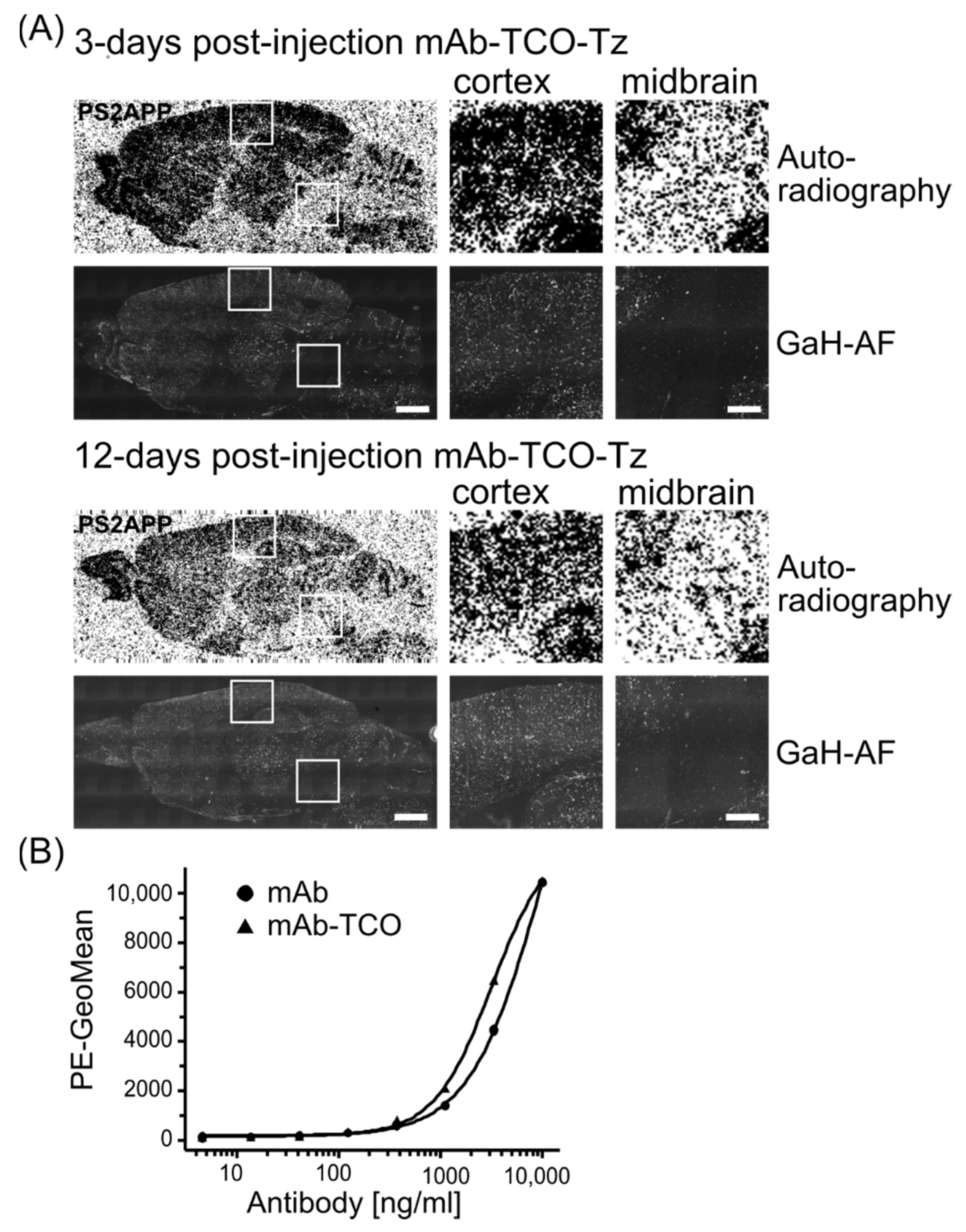 Pharmaceuticals 15 01445 g004