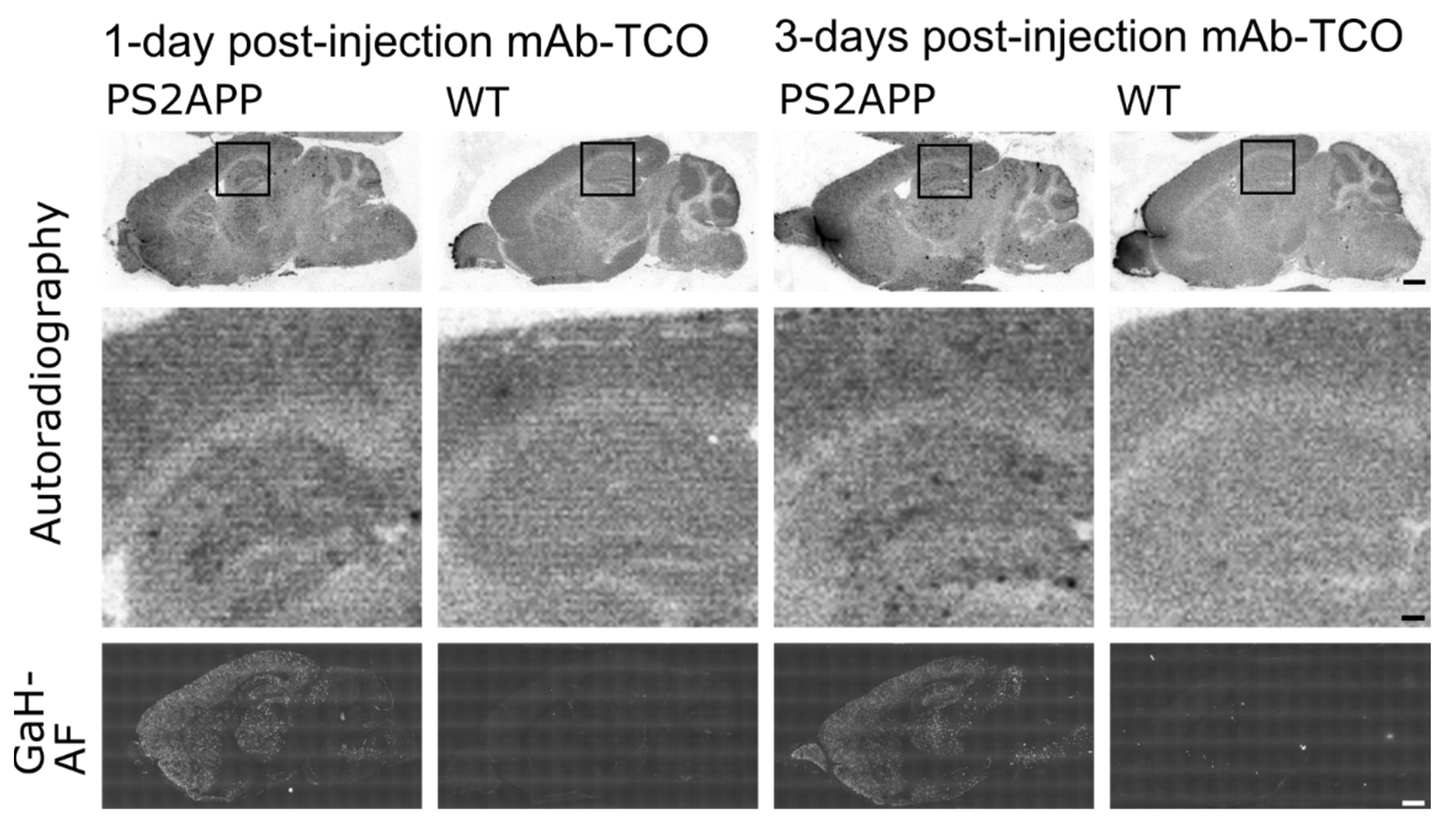 Pharmaceuticals 15 01445 g005