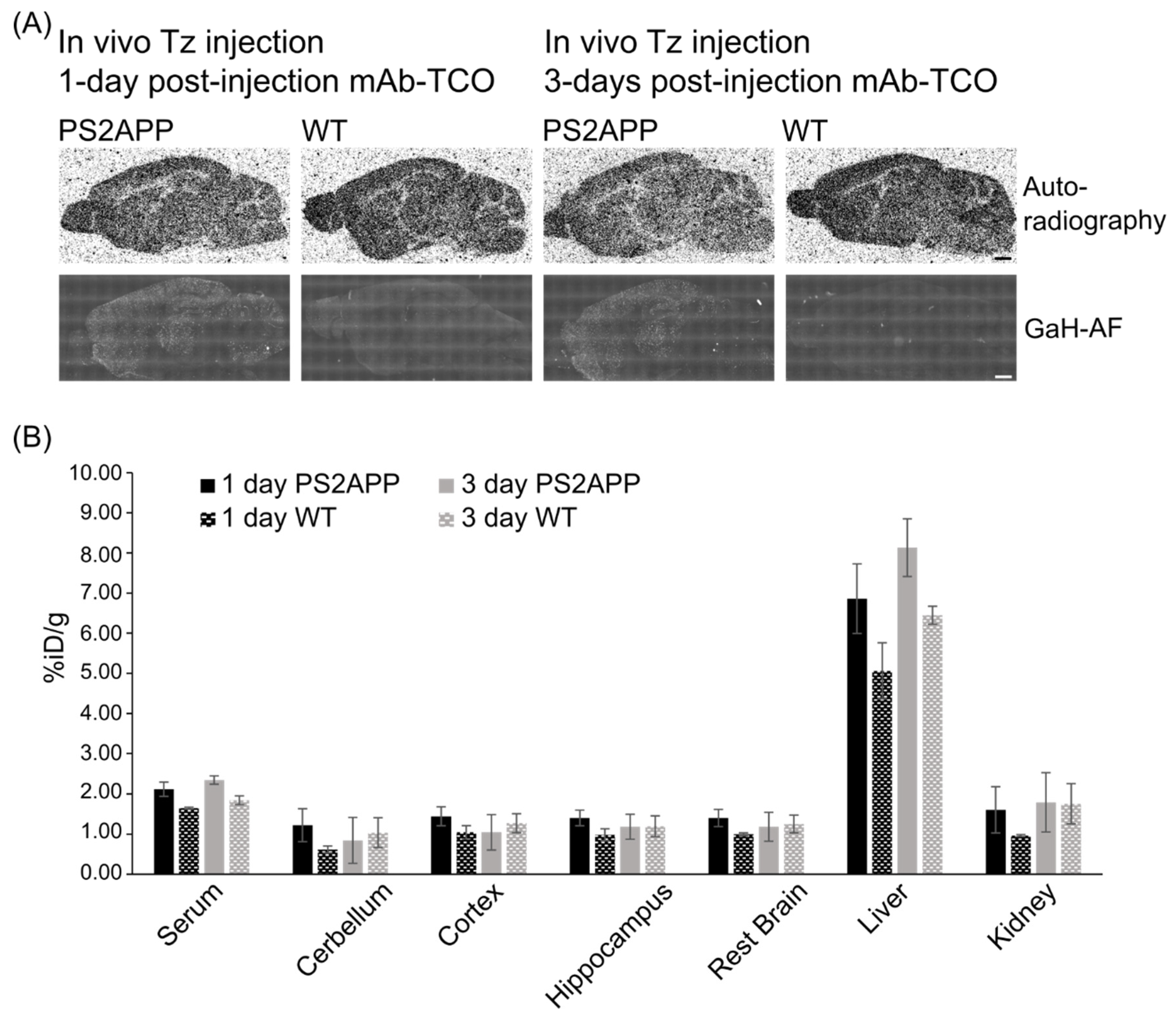 Pharmaceuticals 15 01445 g006
