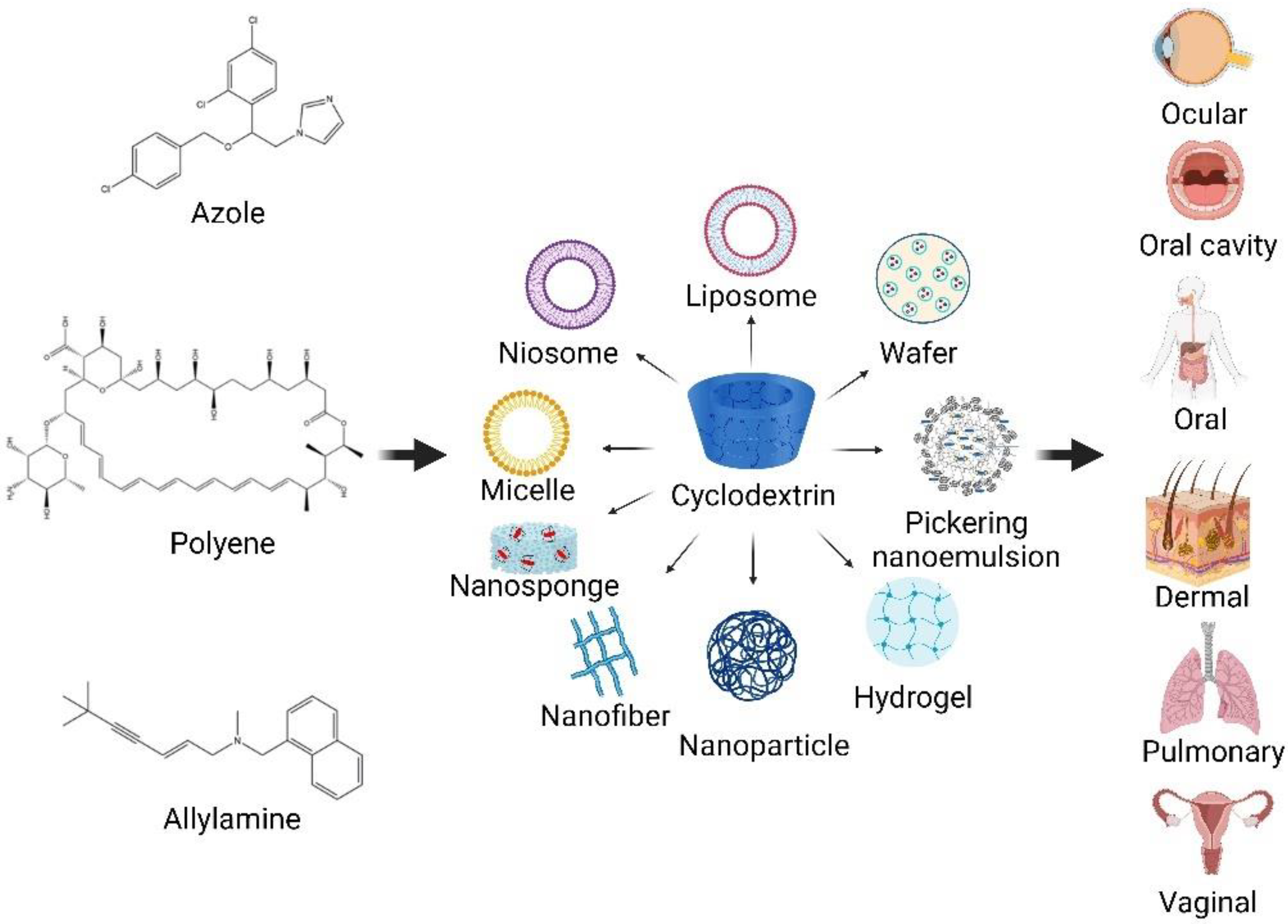 Pharmaceuticals 15 01447 g003 Pharmaceuticals 15 01447 g003