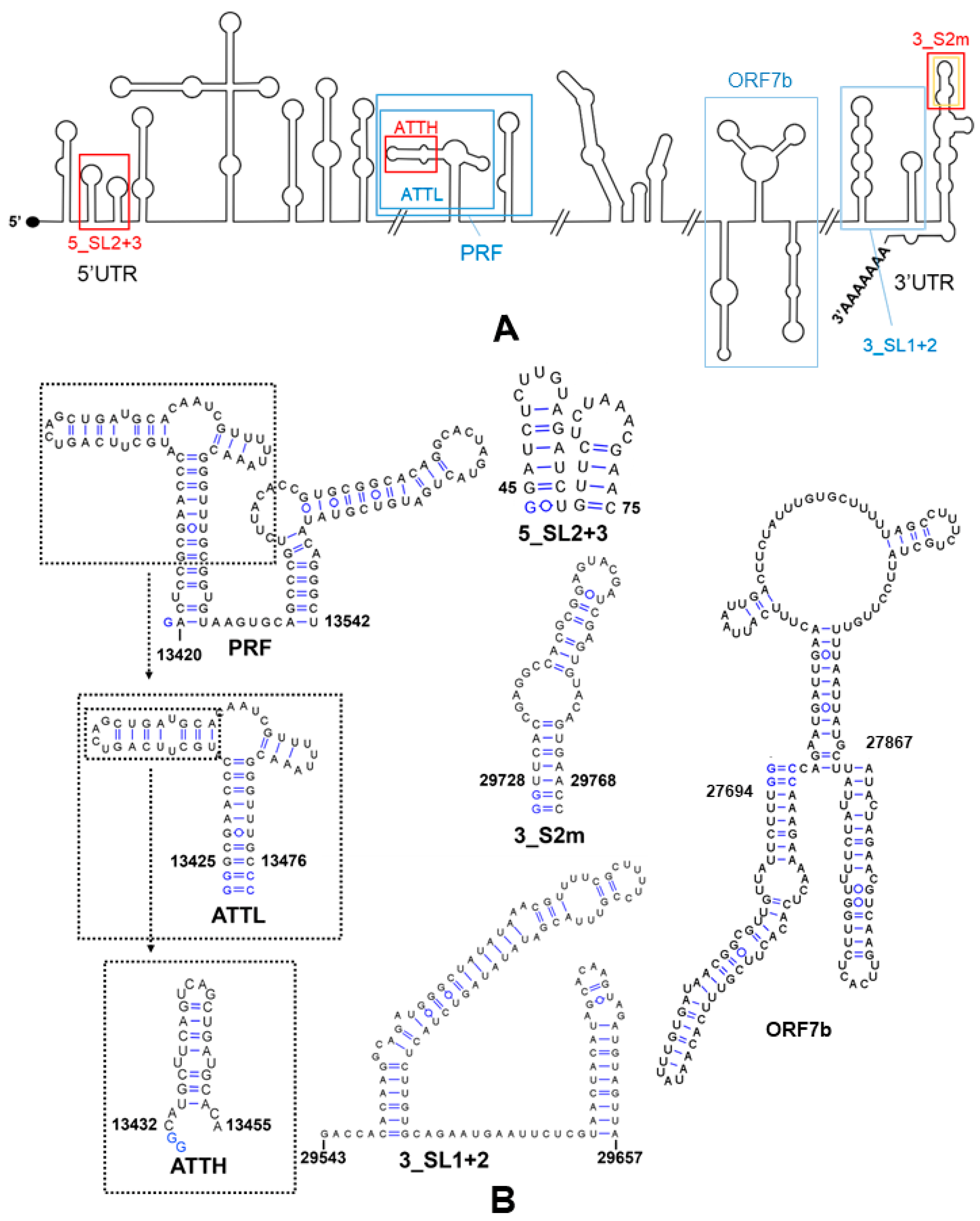 Pharmaceuticals 15 01448 g003