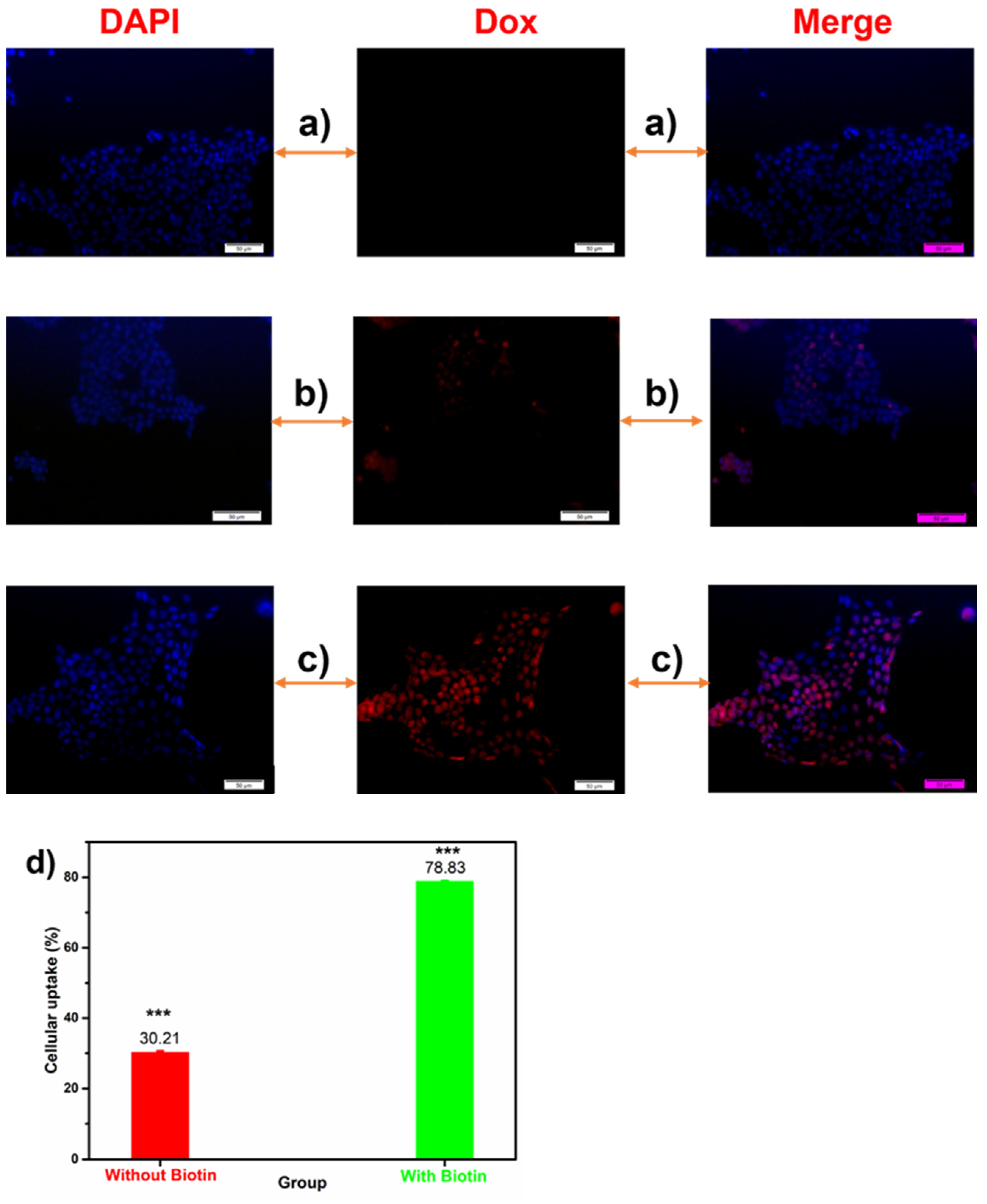 Pharmaceuticals 15 01449 g003 Pharmaceuticals 15 01449 g003