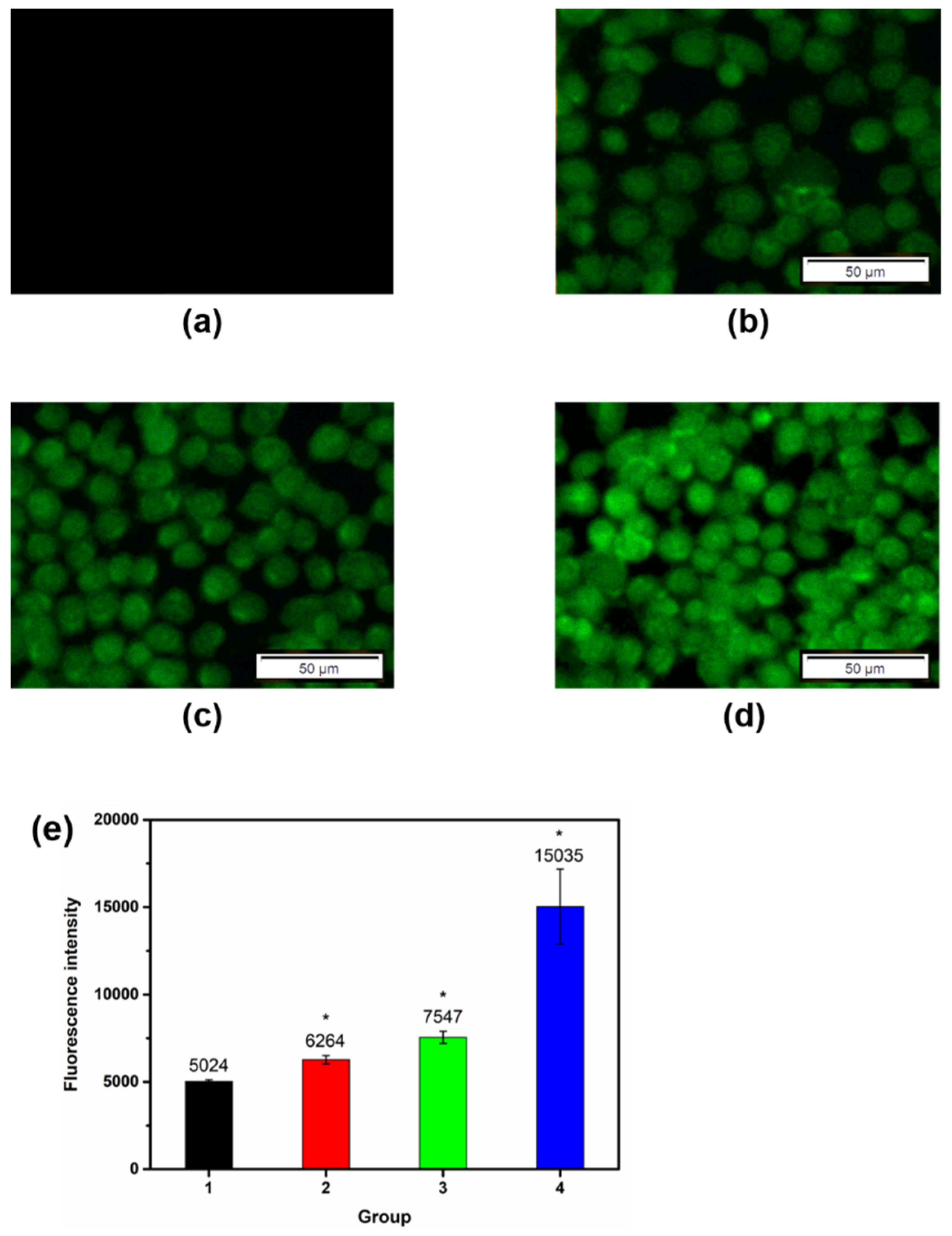 Pharmaceuticals 15 01449 g005 Pharmaceuticals 15 01449 g005