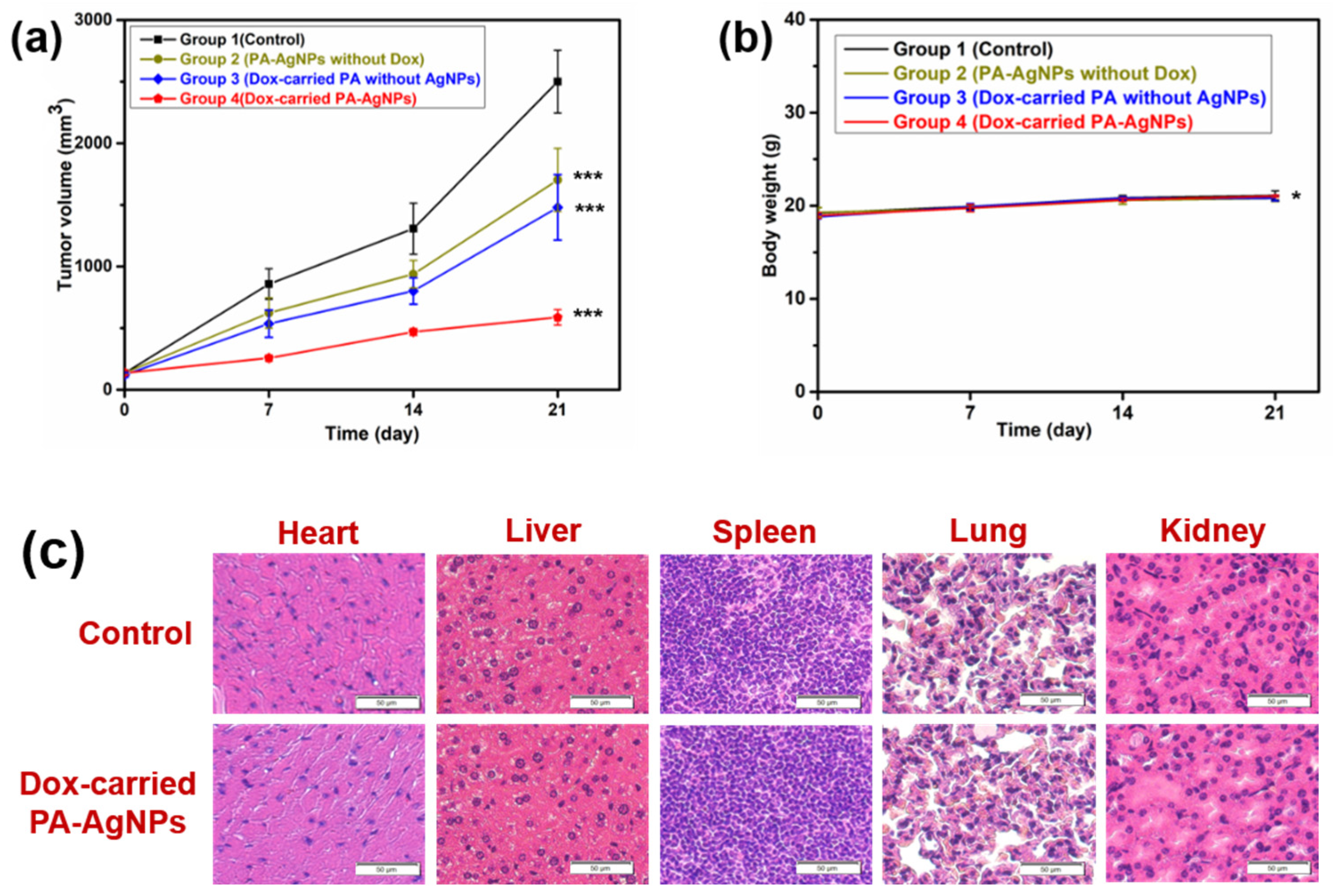 Pharmaceuticals 15 01449 g008 Pharmaceuticals 15 01449 g008