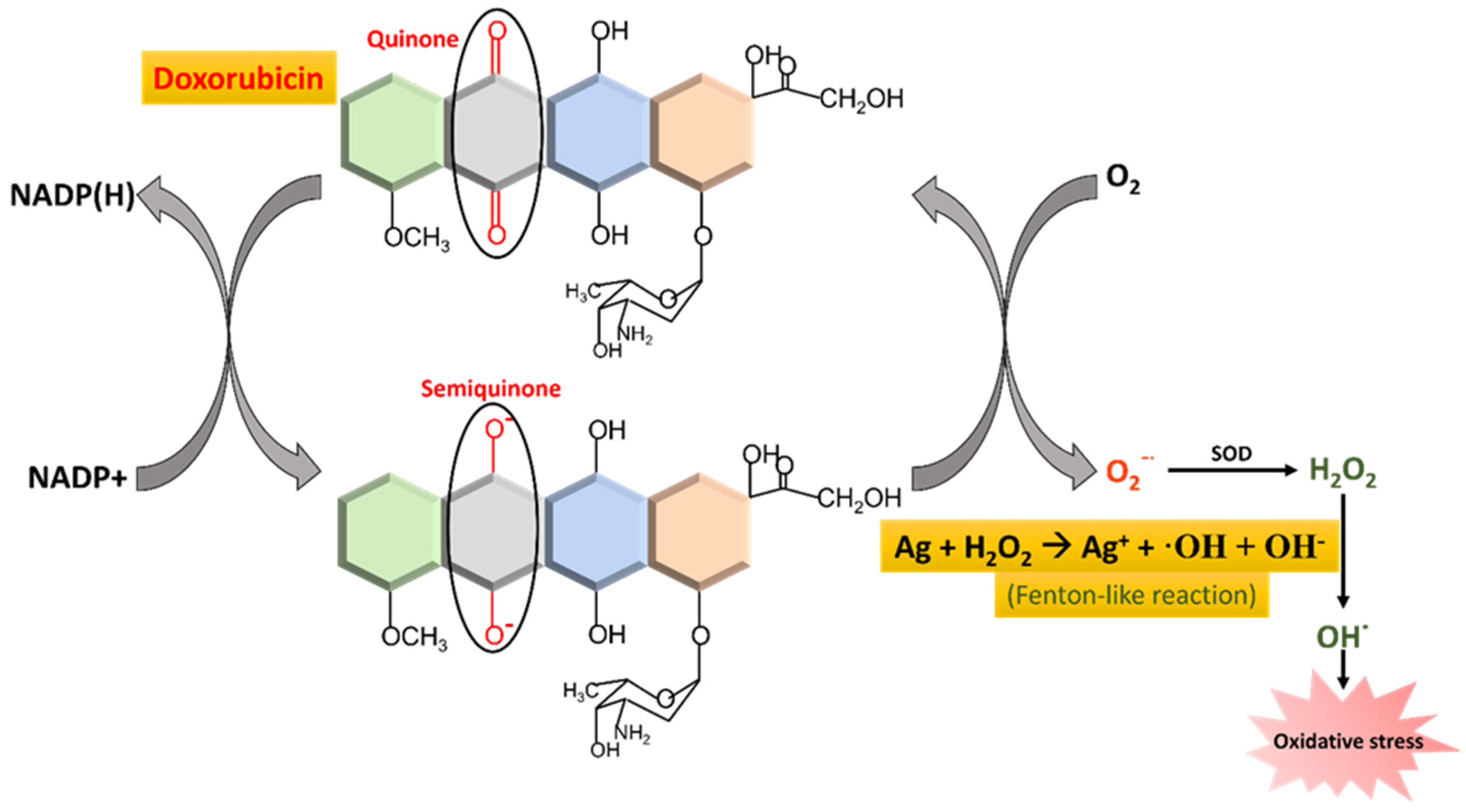 Pharmaceuticals 15 01449 sch001 Pharmaceuticals 15 01449 sch001