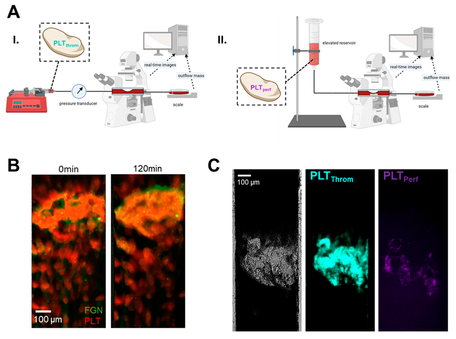 Pharmaceuticals 15 01450 g004