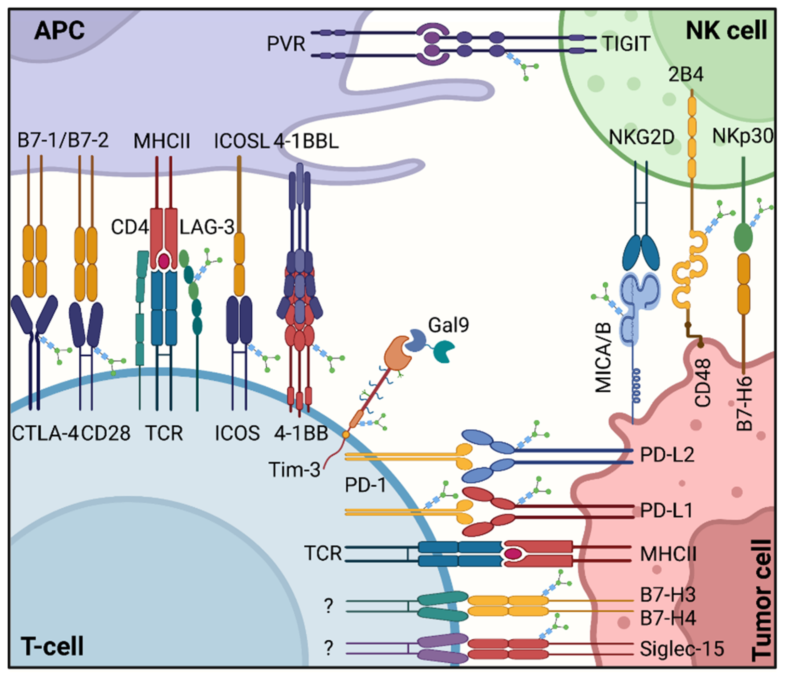 Pharmaceuticals 15 01451 g002