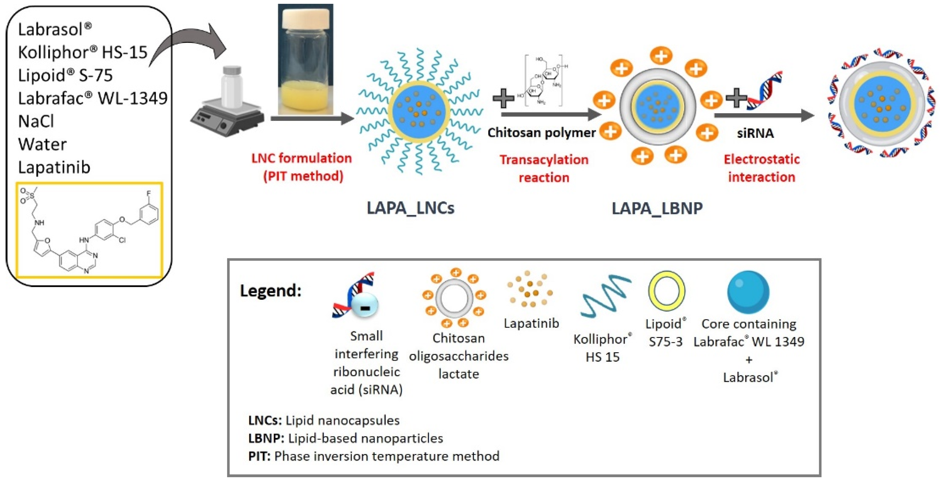 Pharmaceuticals 15 01452 g001 Pharmaceuticals 15 01452 g001